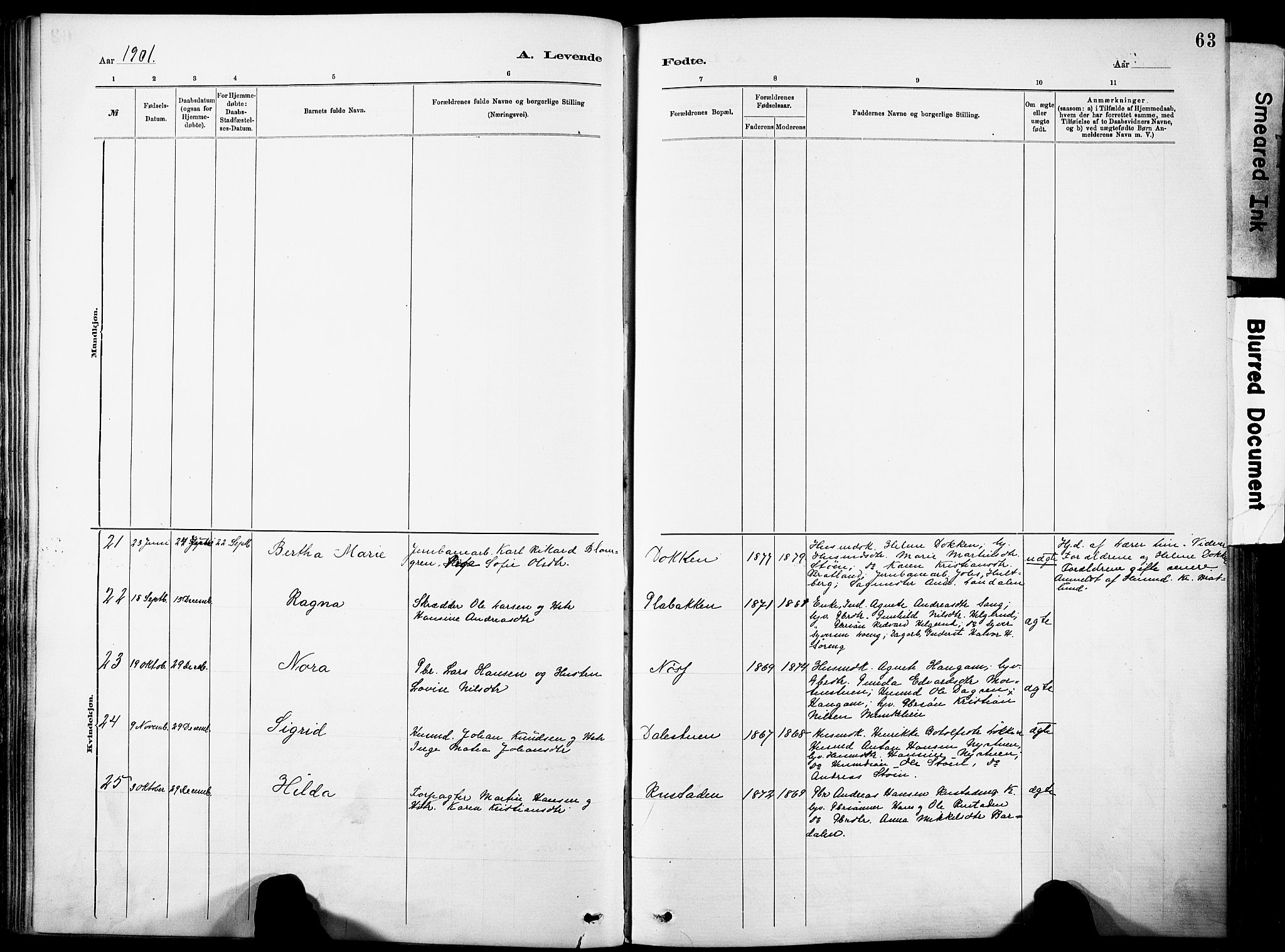 Nordre Land prestekontor, SAH/PREST-124/H/Ha/Haa/L0005: Parish register (official) no. 5, 1882-1903, p. 63