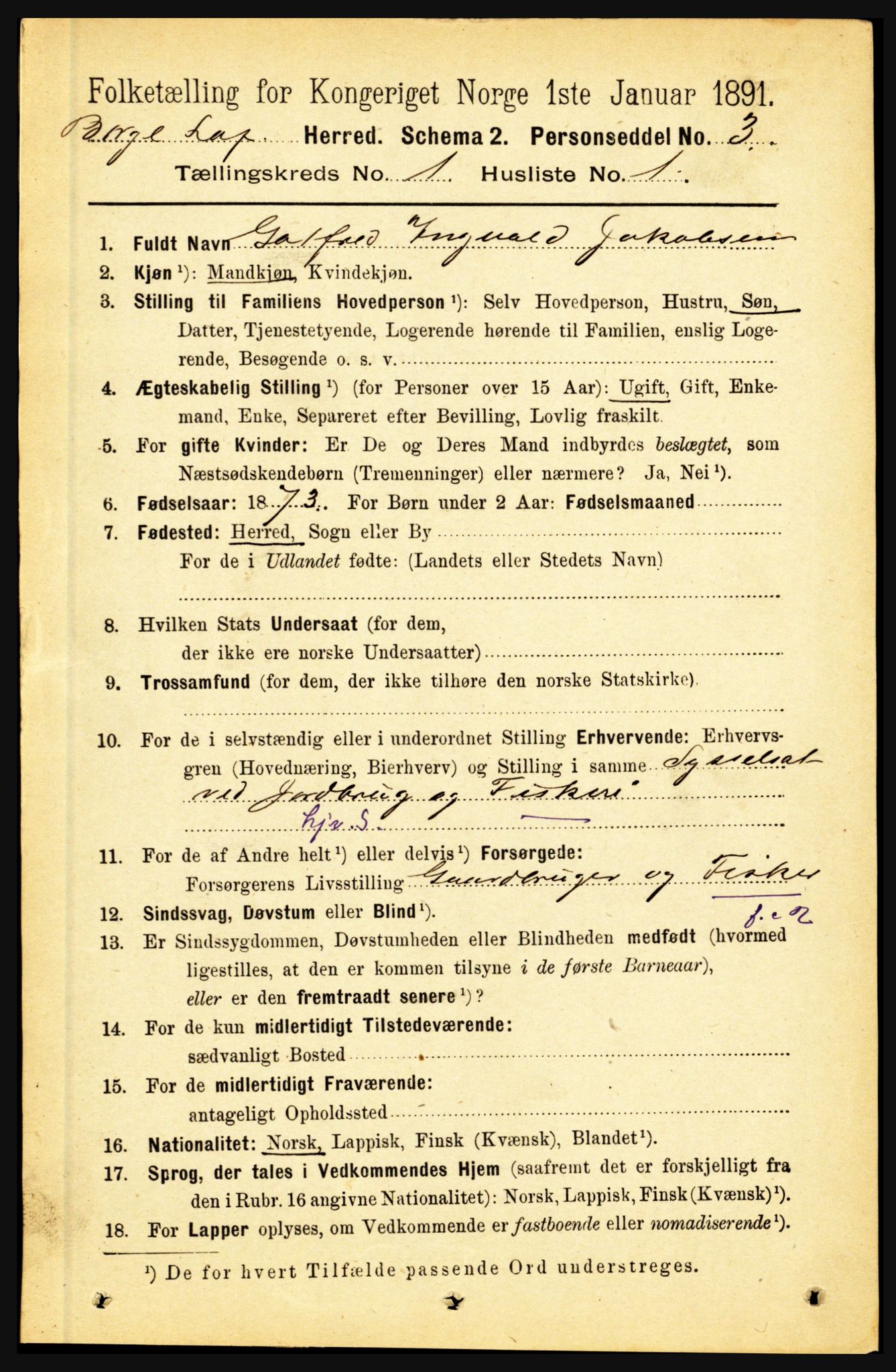 RA, 1891 census for 1862 Borge, 1891, p. 134