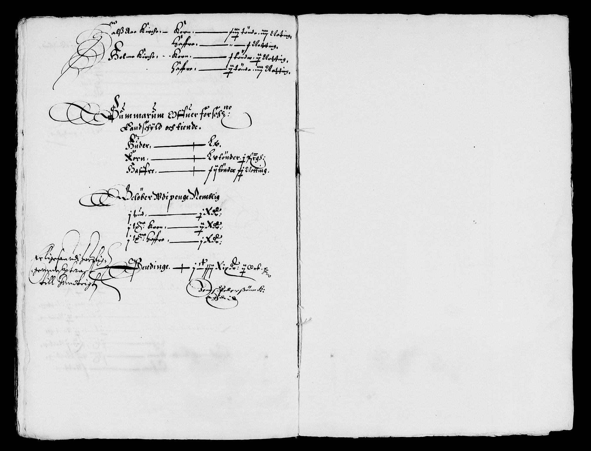 Rentekammeret inntil 1814, Reviderte regnskaper, Lensregnskaper, AV/RA-EA-5023/R/Rb/Rbq/L0035: Nedenes len. Mandals len. Råbyggelag., 1645-1647