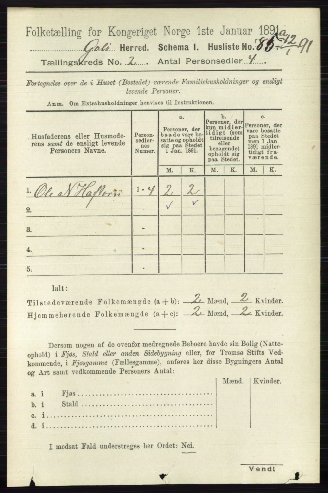 RA, 1891 census for 0617 Gol og Hemsedal, 1891, p. 710