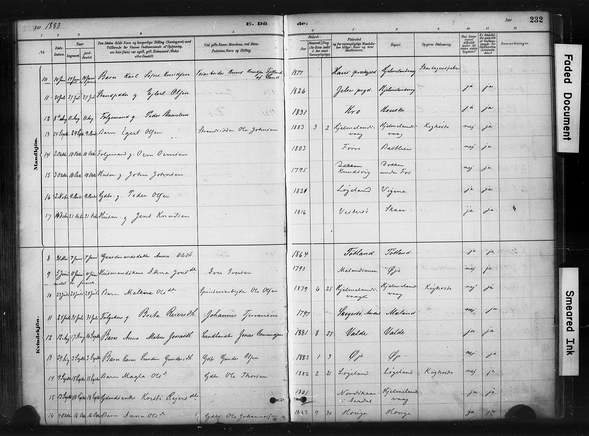 Hjelmeland sokneprestkontor, AV/SAST-A-101843/01/IV/L0014: Parish register (official) no. A 14, 1879-1900, p. 232