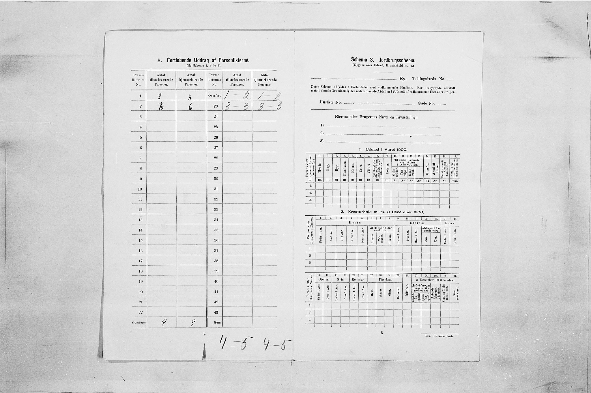 SAO, 1900 census for Fredrikstad, 1900