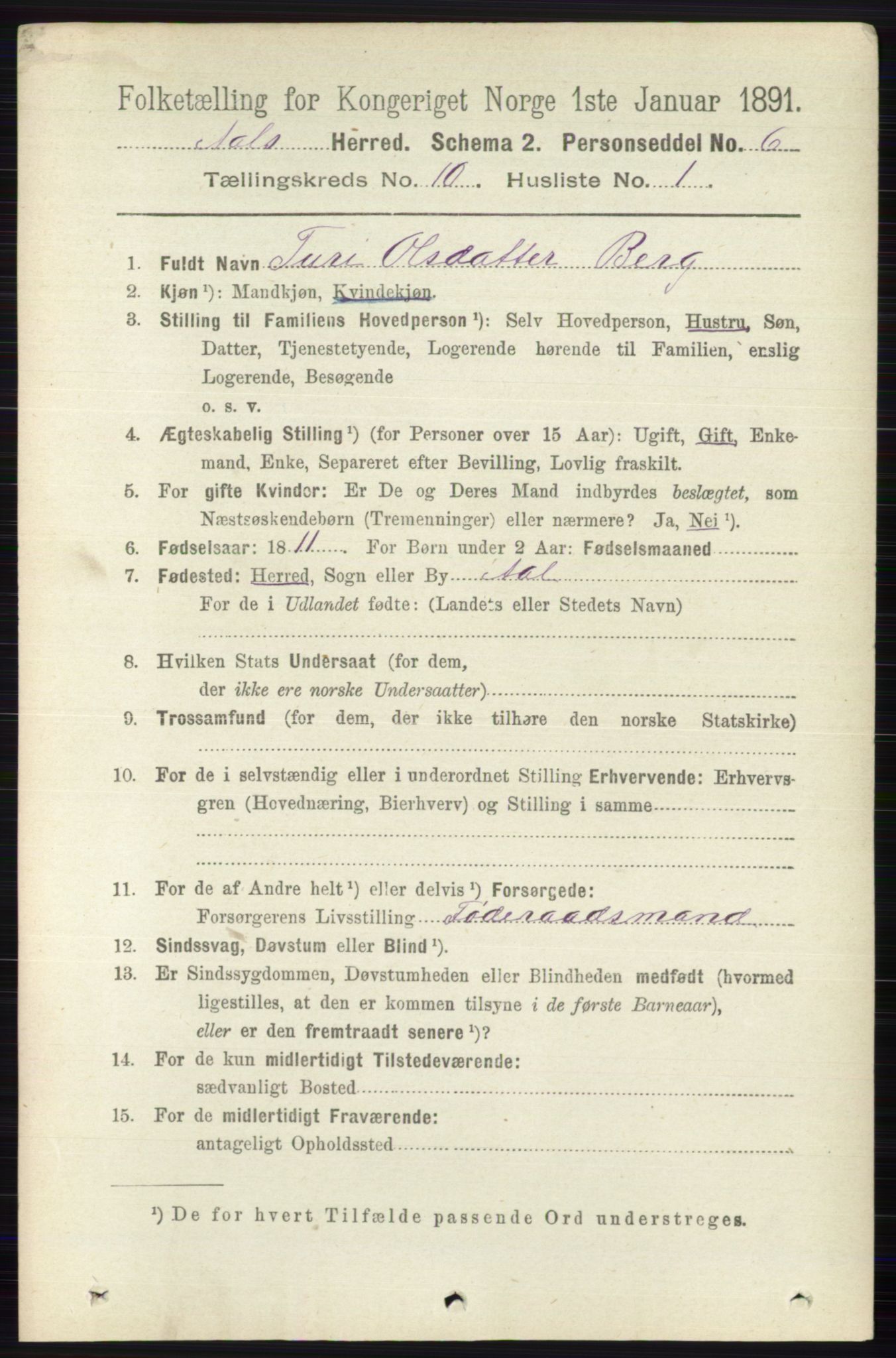 RA, 1891 census for 0619 Ål, 1891, p. 2698