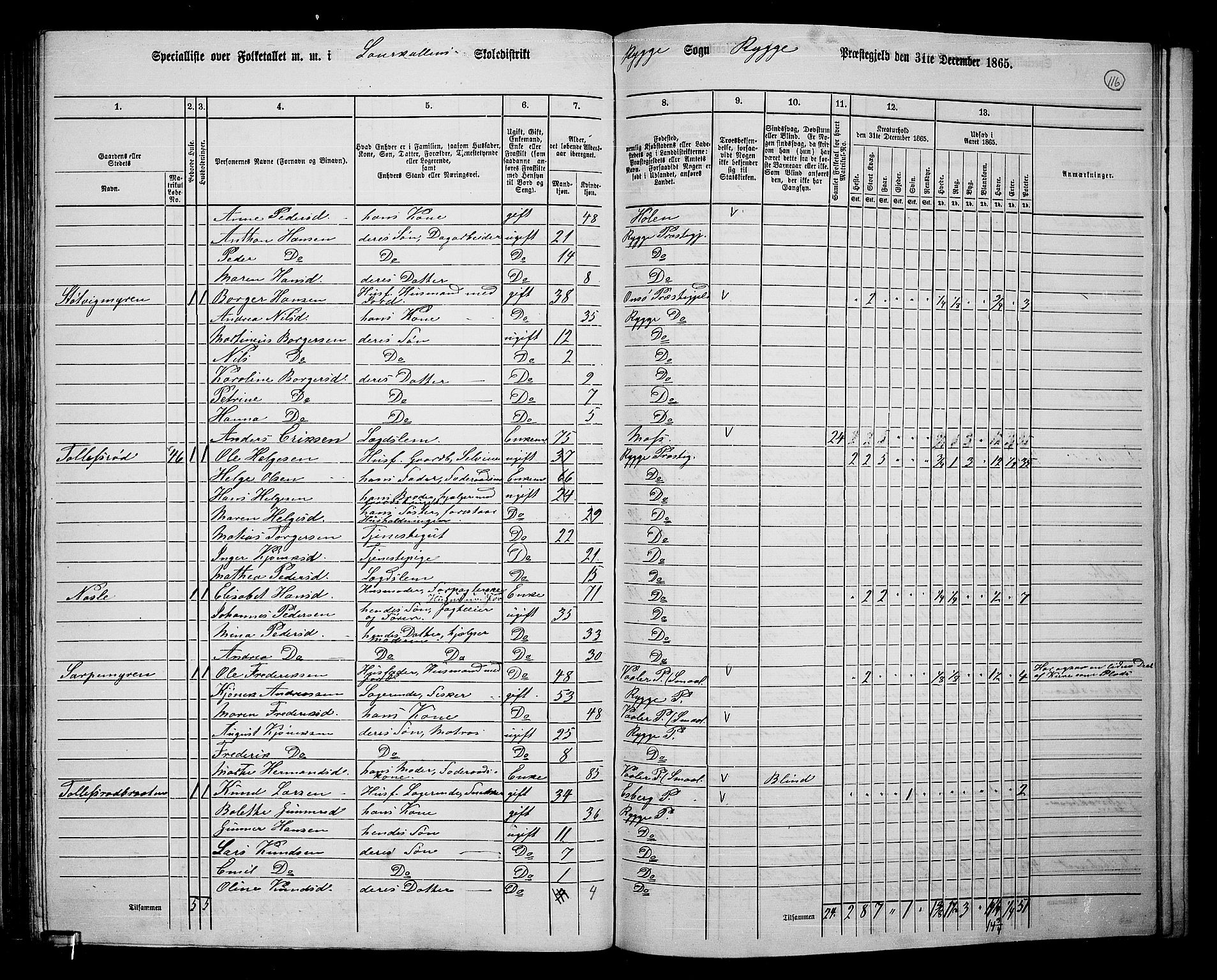 RA, 1865 census for Rygge, 1865, p. 60