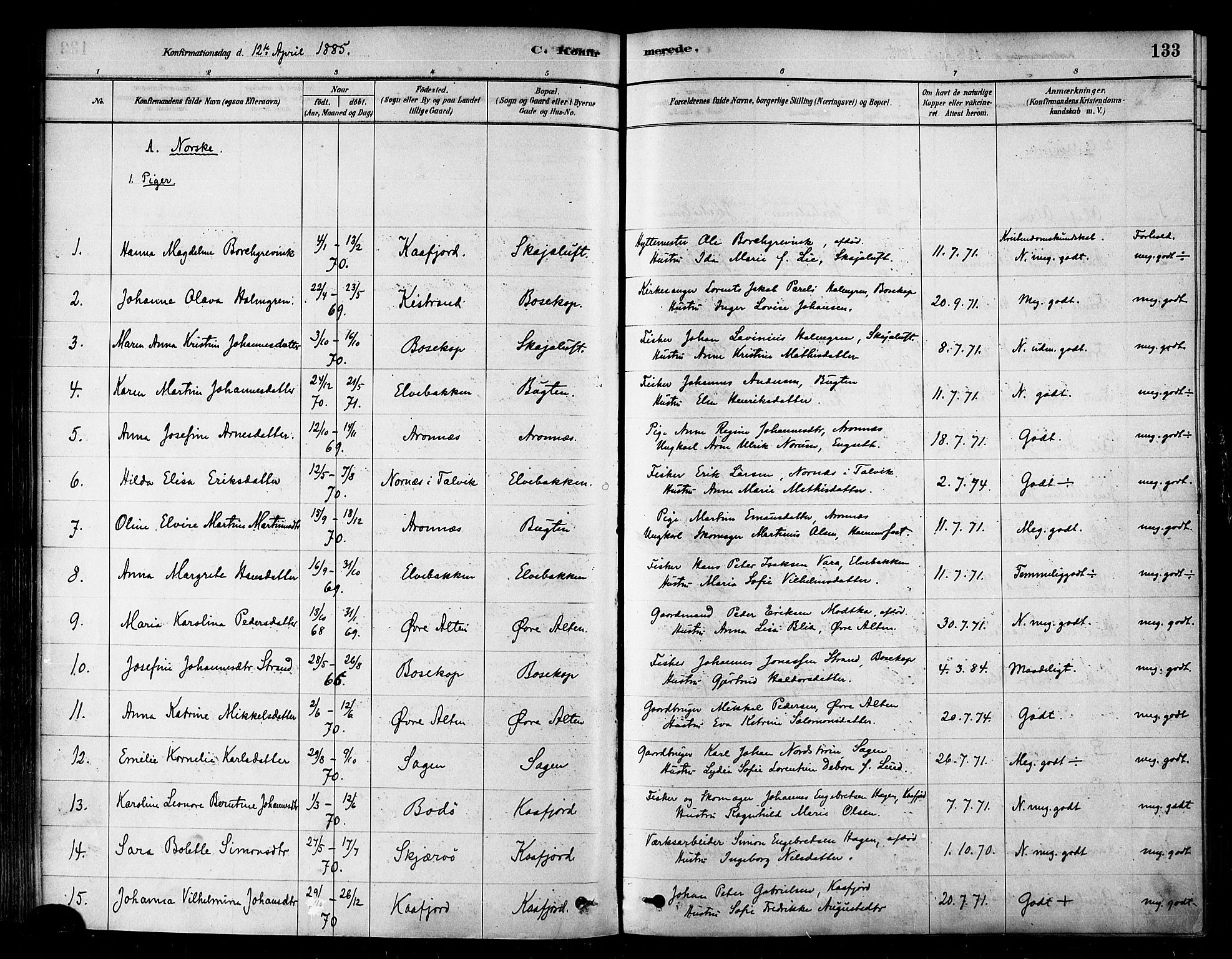 Alta sokneprestkontor, SATØ/S-1338/H/Ha/L0002.kirke: Parish register (official) no. 2, 1879-1892, p. 133