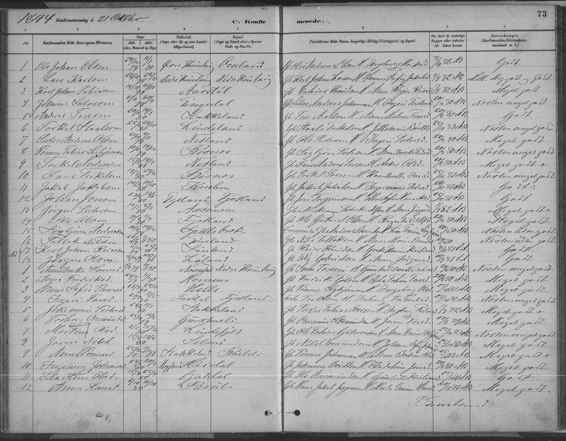 Fjotland sokneprestkontor, SAK/1111-0010/F/Fa/L0002: Parish register (official) no. A 2, 1880-1898, p. 73