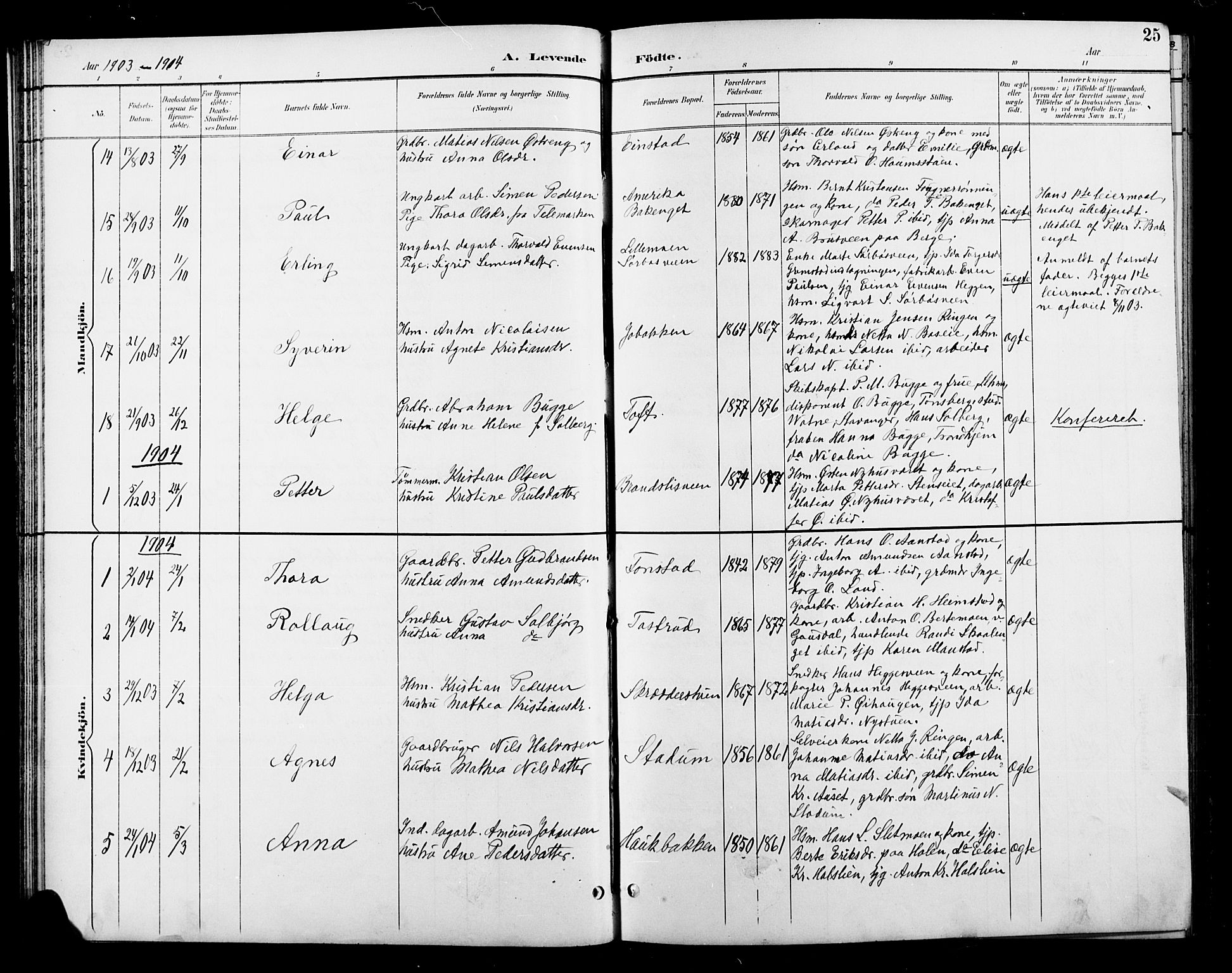 Østre Gausdal prestekontor, AV/SAH-PREST-092/H/Ha/Hab/L0003: Parish register (copy) no. 3, 1894-1915, p. 25