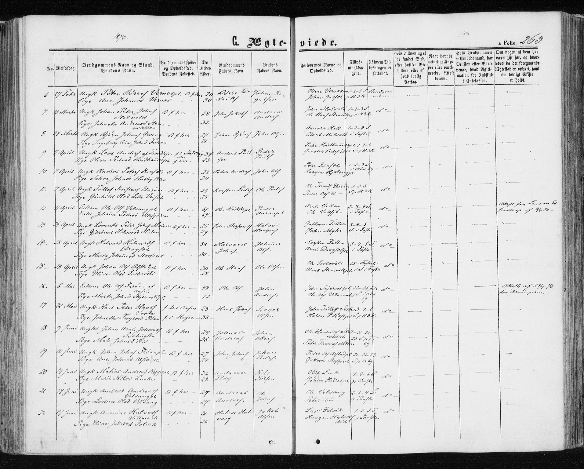 Ministerialprotokoller, klokkerbøker og fødselsregistre - Nord-Trøndelag, AV/SAT-A-1458/709/L0075: Parish register (official) no. 709A15, 1859-1870, p. 263