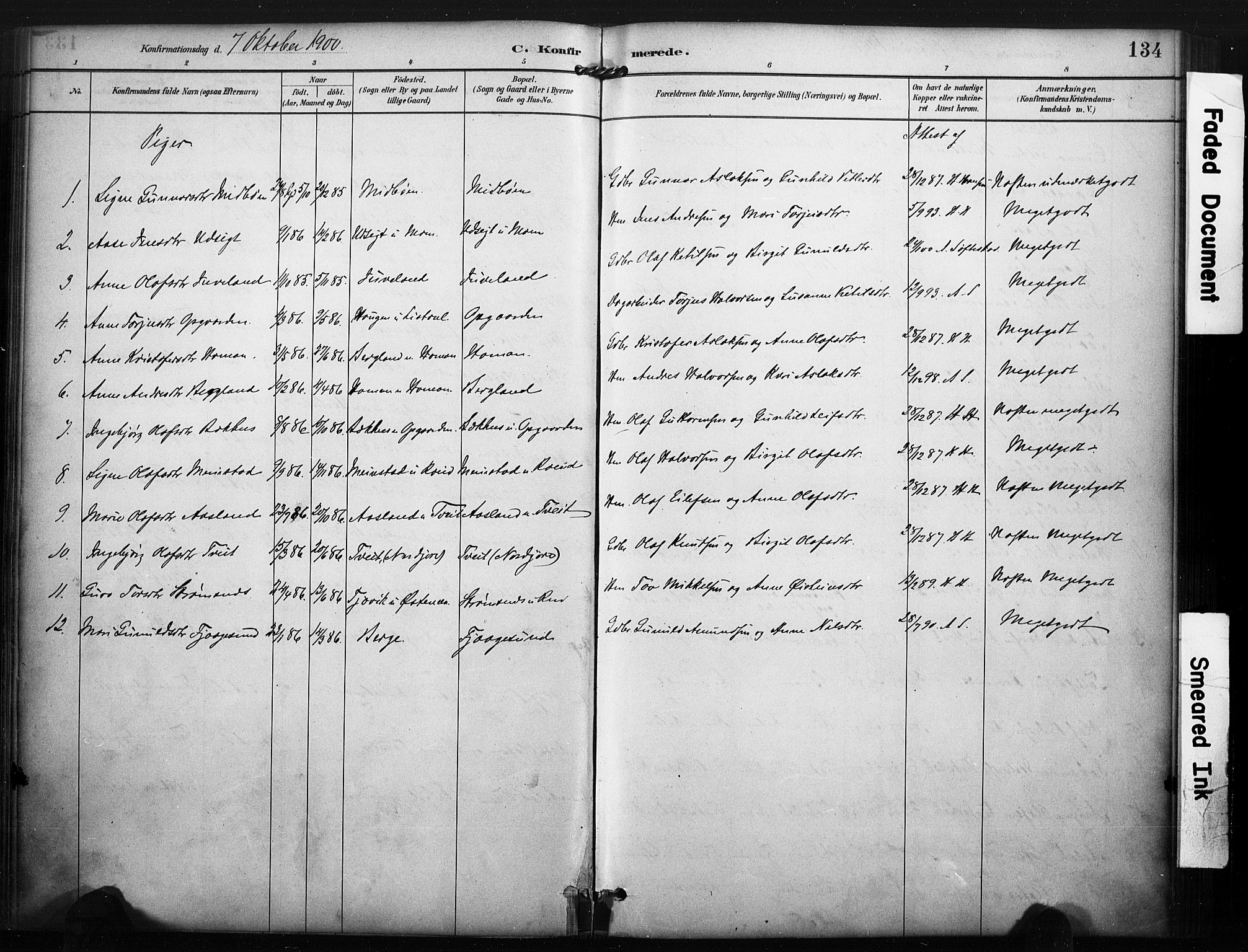 Kviteseid kirkebøker, SAKO/A-276/F/Fa/L0008: Parish register (official) no. I 8, 1882-1903, p. 134