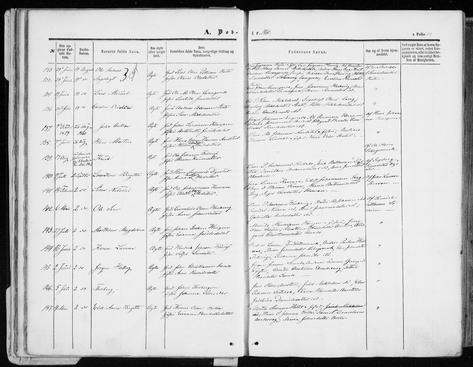 Ibestad sokneprestembete, AV/SATØ-S-0077/H/Ha/Haa/L0009kirke: Parish register (official) no. 9, 1859-1868, p. 22