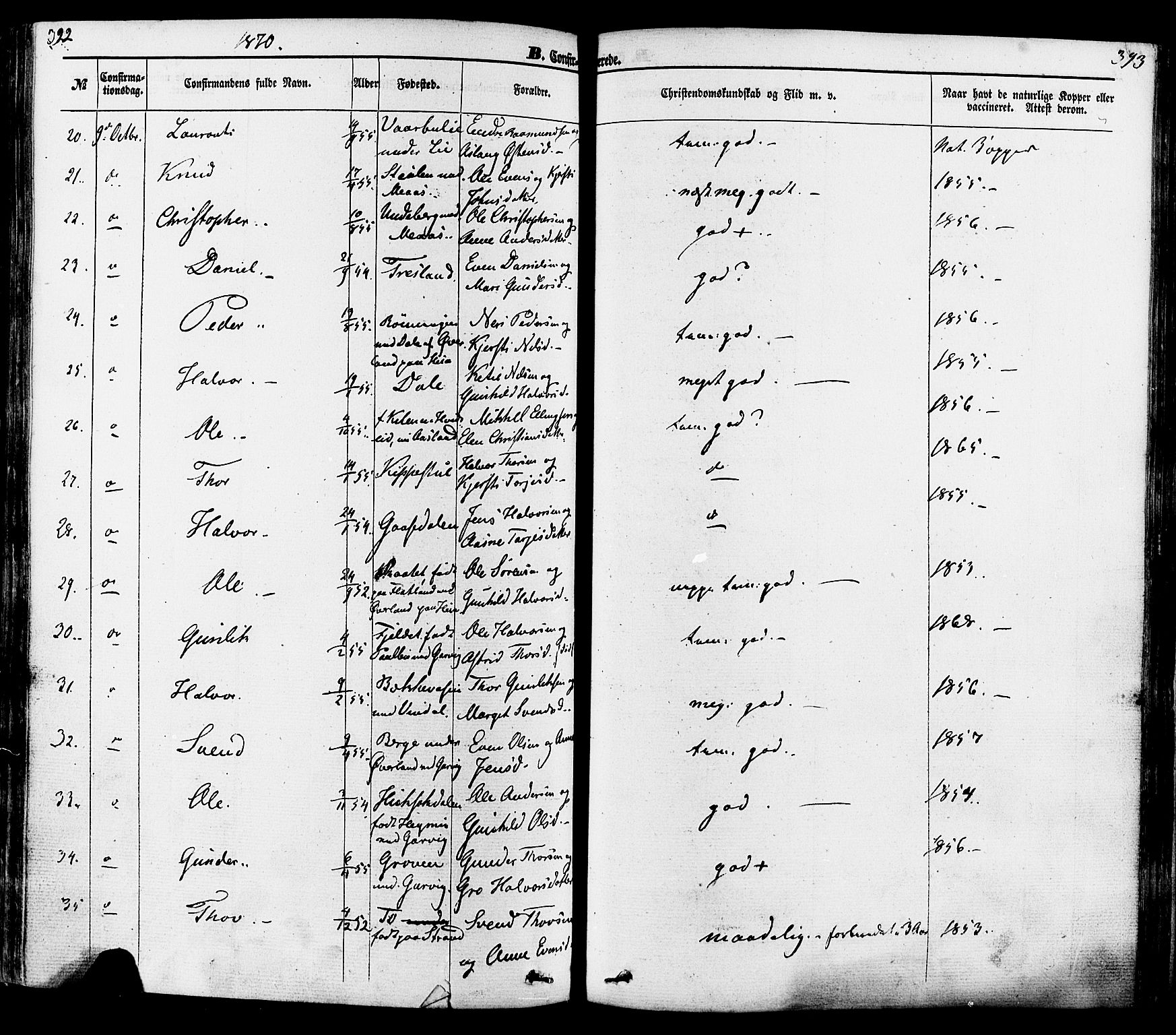 Seljord kirkebøker, AV/SAKO-A-20/F/Fa/L0013: Parish register (official) no. I 13, 1866-1876, p. 392-393