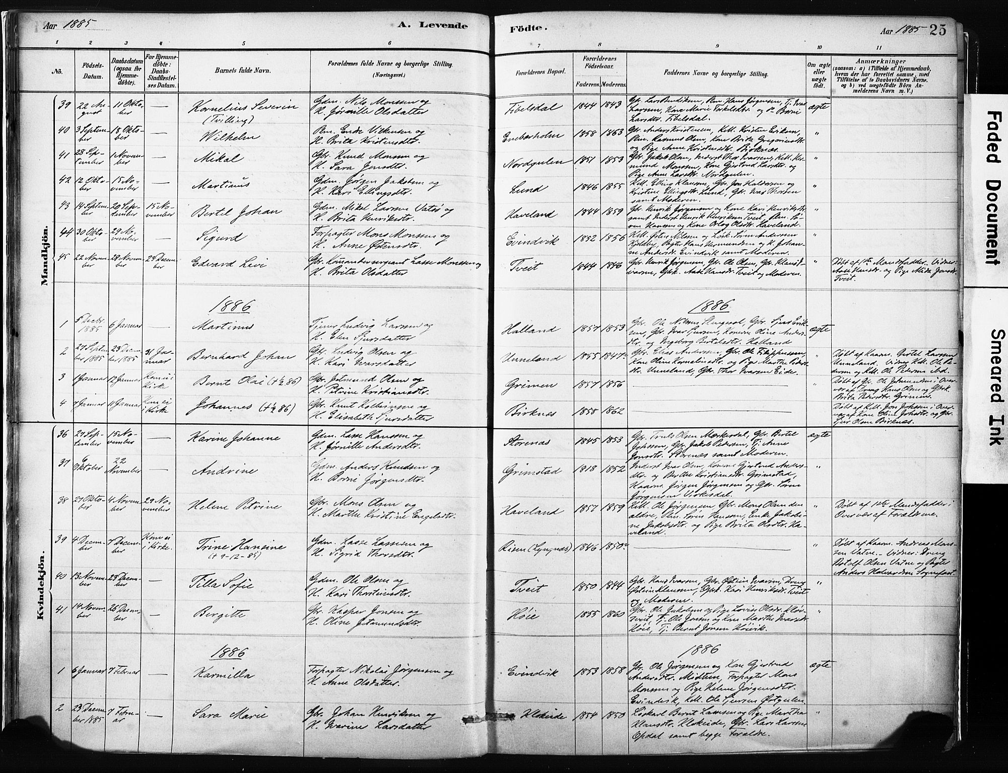 Gulen sokneprestembete, AV/SAB-A-80201/H/Haa/Haab/L0001: Parish register (official) no. B 1, 1881-1905, p. 25