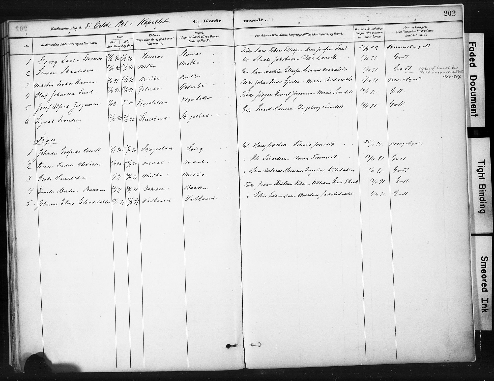 Sokndal sokneprestkontor, AV/SAST-A-101808: Parish register (official) no. A 11.1, 1887-1905, p. 202