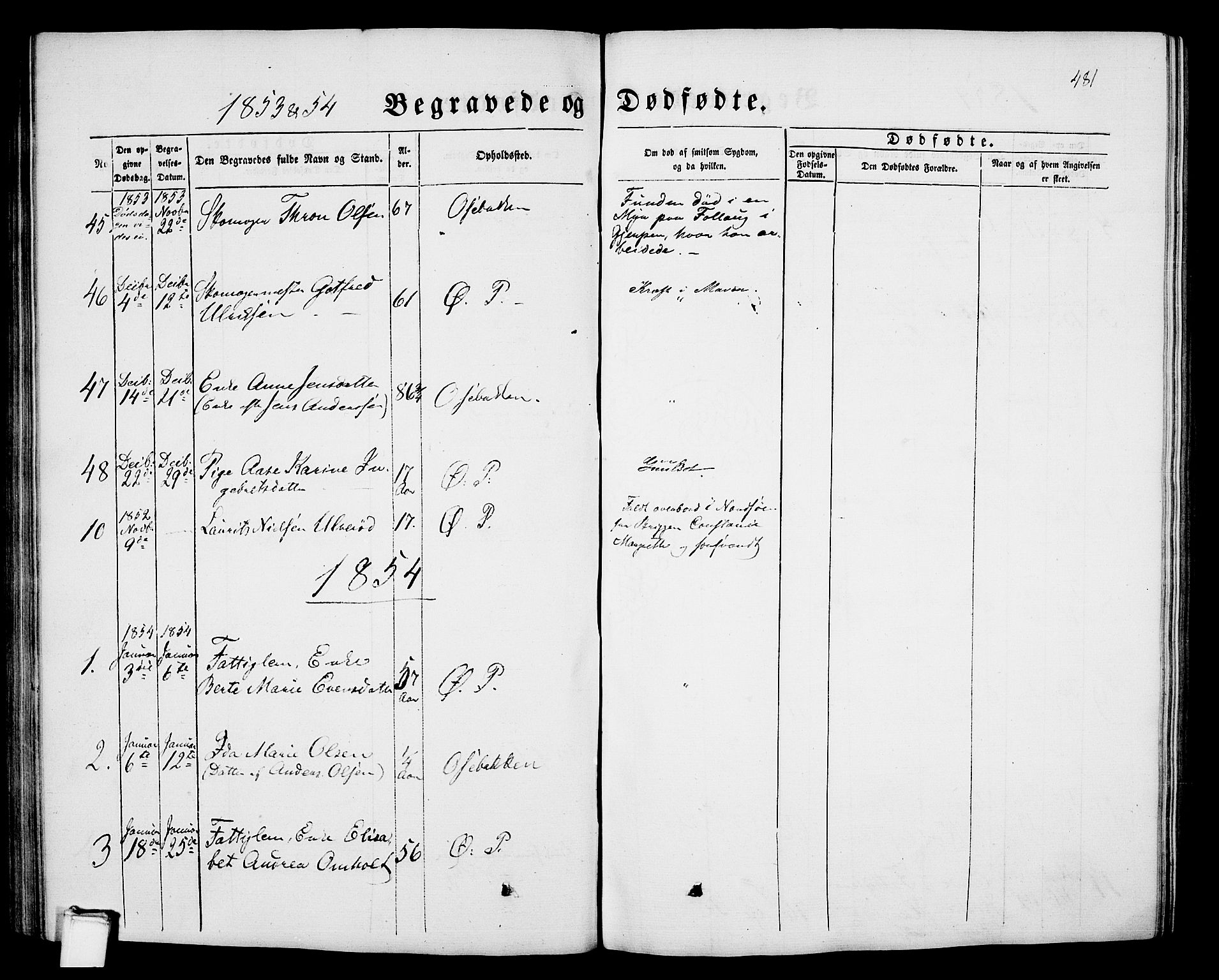 Porsgrunn kirkebøker , SAKO/A-104/G/Gb/L0004: Parish register (copy) no. II 4, 1853-1882, p. 481