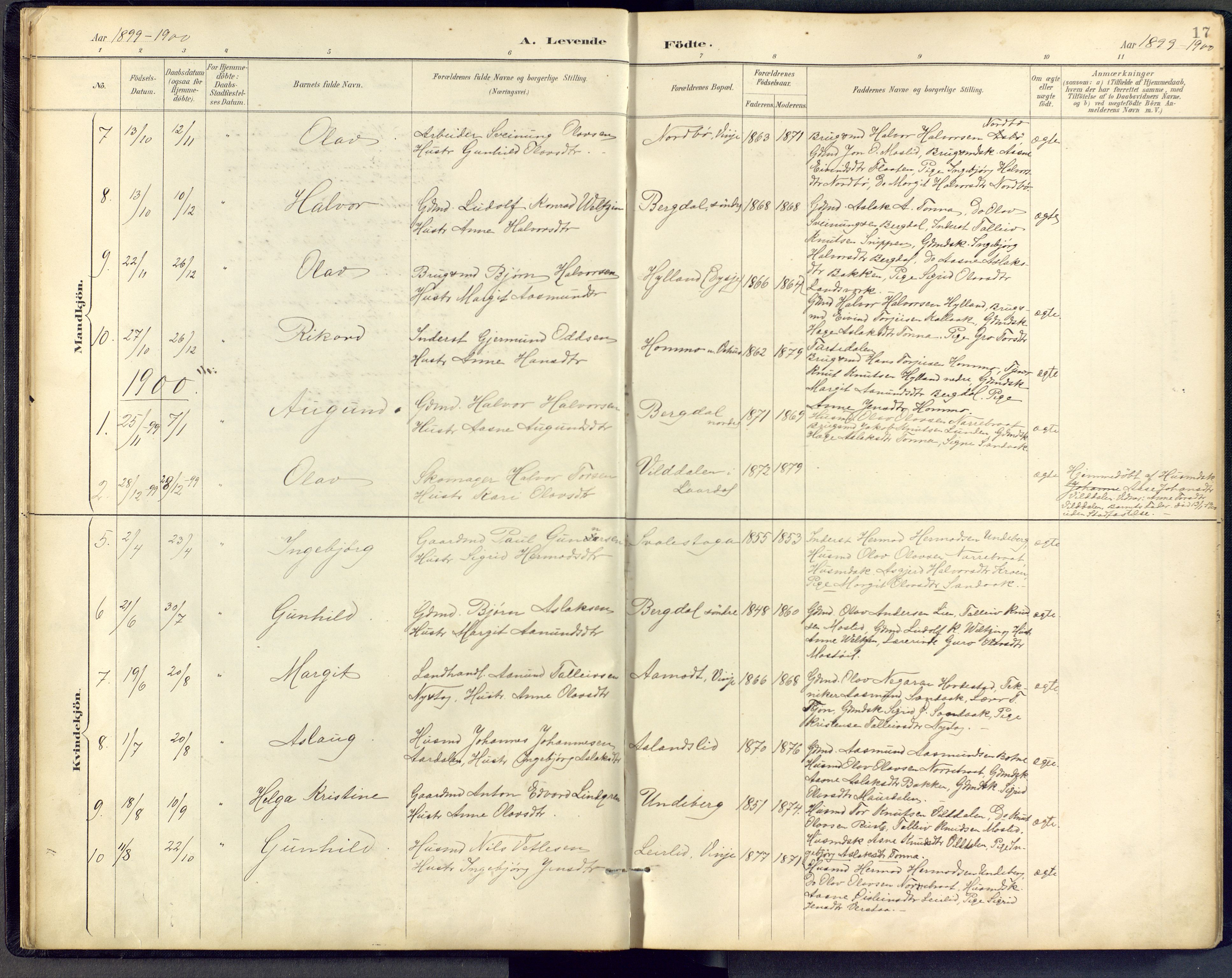 Vinje kirkebøker, SAKO/A-312/F/Fb/L0002: Parish register (official) no. II 2, 1887-1925, p. 17