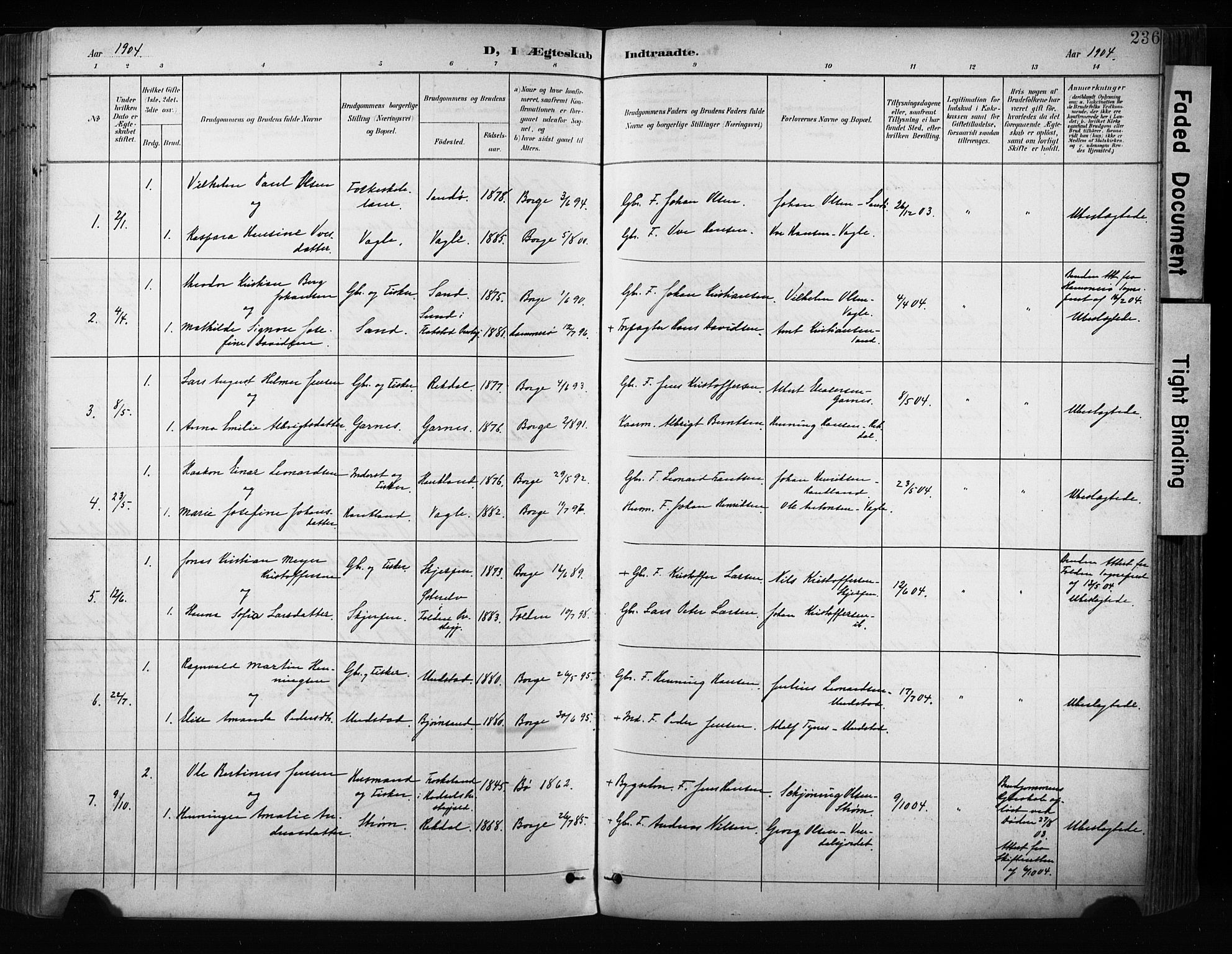 Ministerialprotokoller, klokkerbøker og fødselsregistre - Nordland, AV/SAT-A-1459/880/L1134: Parish register (official) no. 880A08, 1899-1908, p. 236