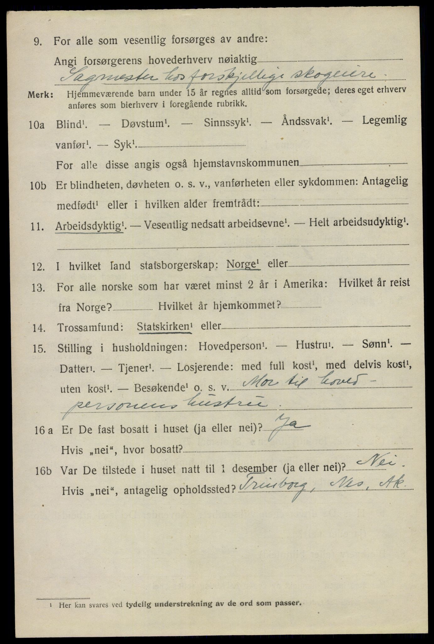 SAO, 1920 census for Nes, 1920, p. 10195