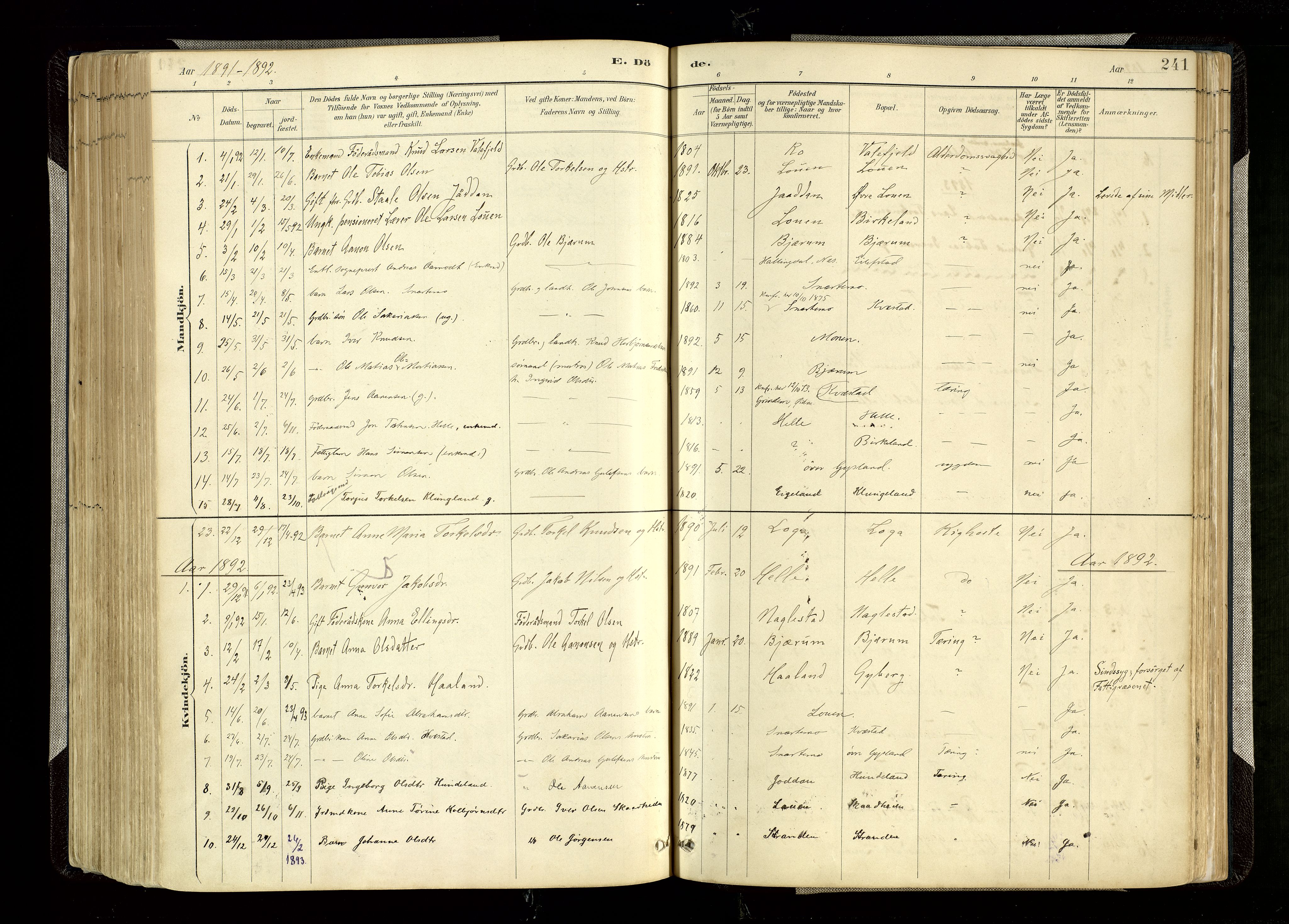 Hægebostad sokneprestkontor, AV/SAK-1111-0024/F/Fa/Faa/L0006: Parish register (official) no. A 6, 1887-1929, p. 241