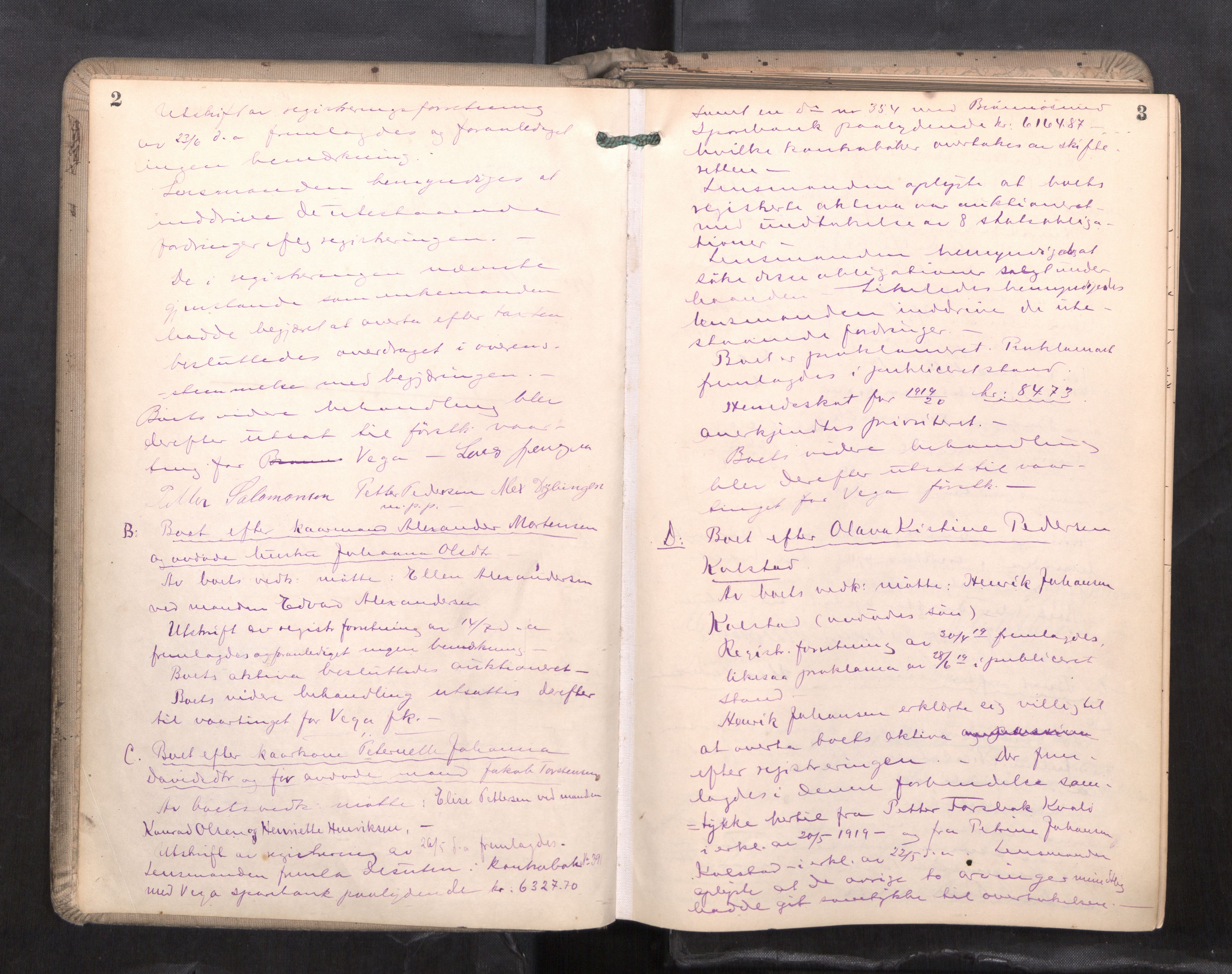 Brønnøy sorenskriveri, AV/SAT-A-4170/1/3/3B/L0001: Skiftebehandlingsprotokoll, 1919-1928, p. 2-3