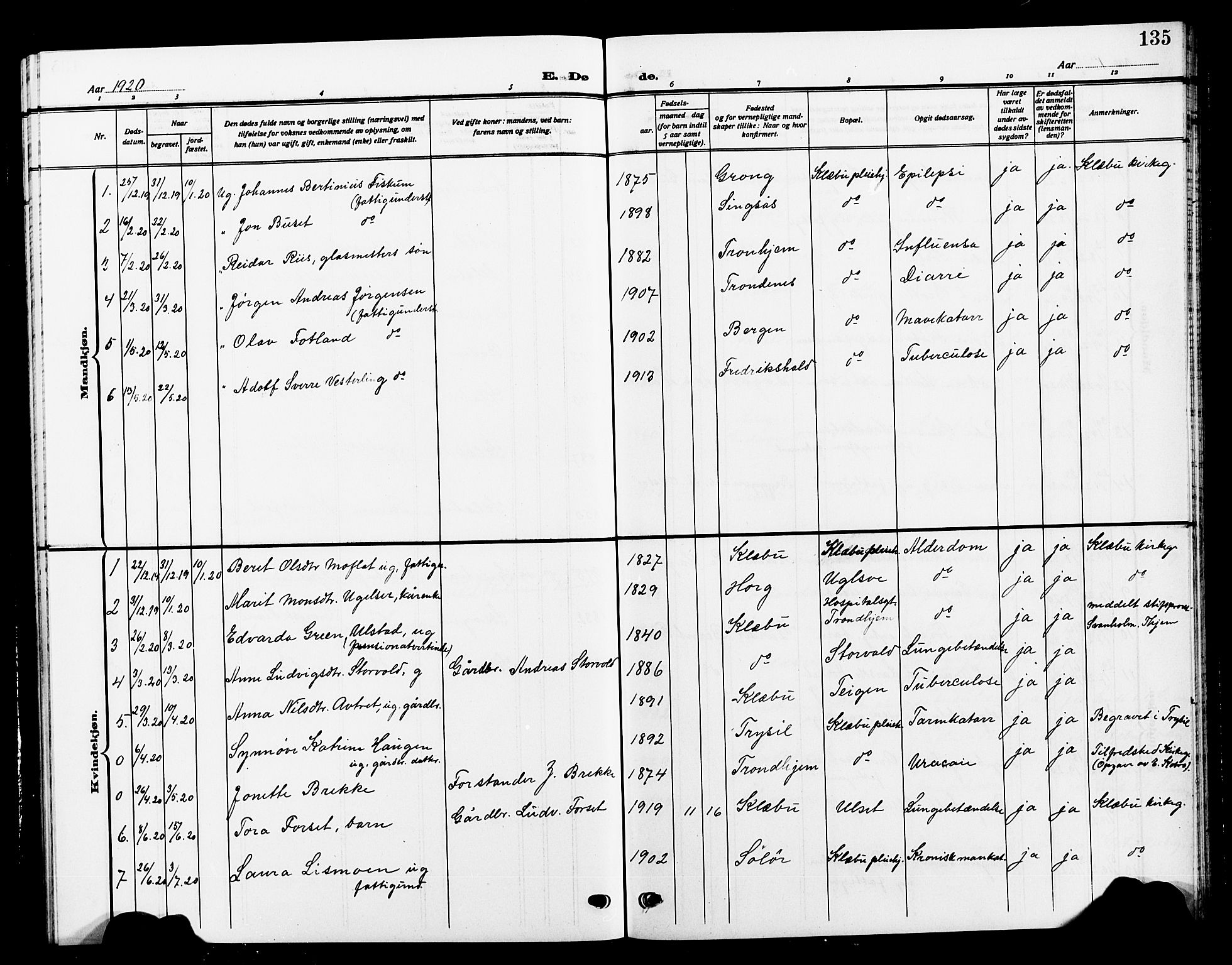 Ministerialprotokoller, klokkerbøker og fødselsregistre - Sør-Trøndelag, AV/SAT-A-1456/618/L0453: Parish register (copy) no. 618C04, 1907-1925, p. 135