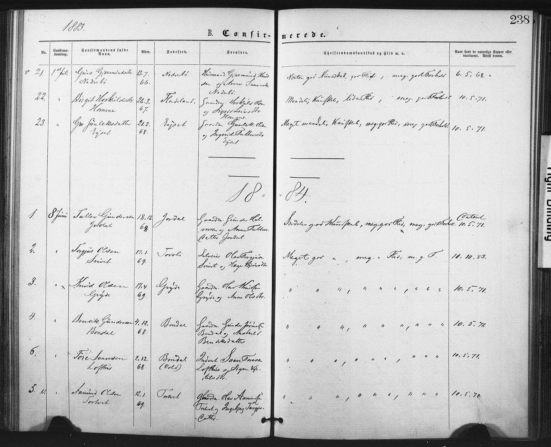 Fyresdal kirkebøker, SAKO/A-263/F/Fa/L0006: Parish register (official) no. I 6, 1872-1886, p. 238
