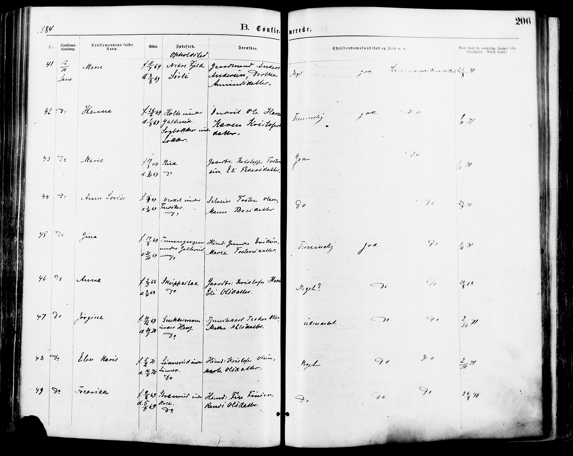 Nord-Odal prestekontor, AV/SAH-PREST-032/H/Ha/Haa/L0005: Parish register (official) no. 5, 1874-1885, p. 206