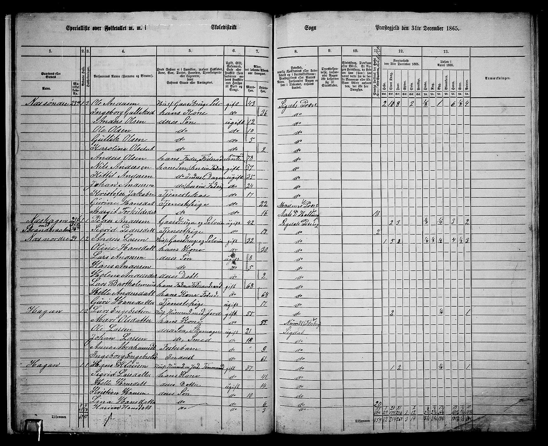 RA, 1865 census for Sigdal, 1865, p. 29