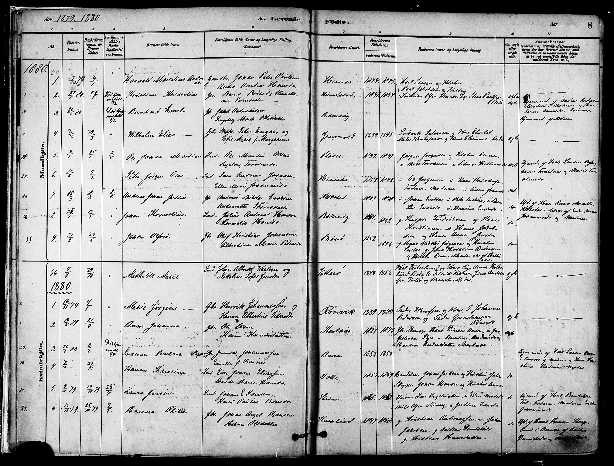 Ministerialprotokoller, klokkerbøker og fødselsregistre - Nordland, SAT/A-1459/802/L0054: Parish register (official) no. 802A01, 1879-1893, p. 8