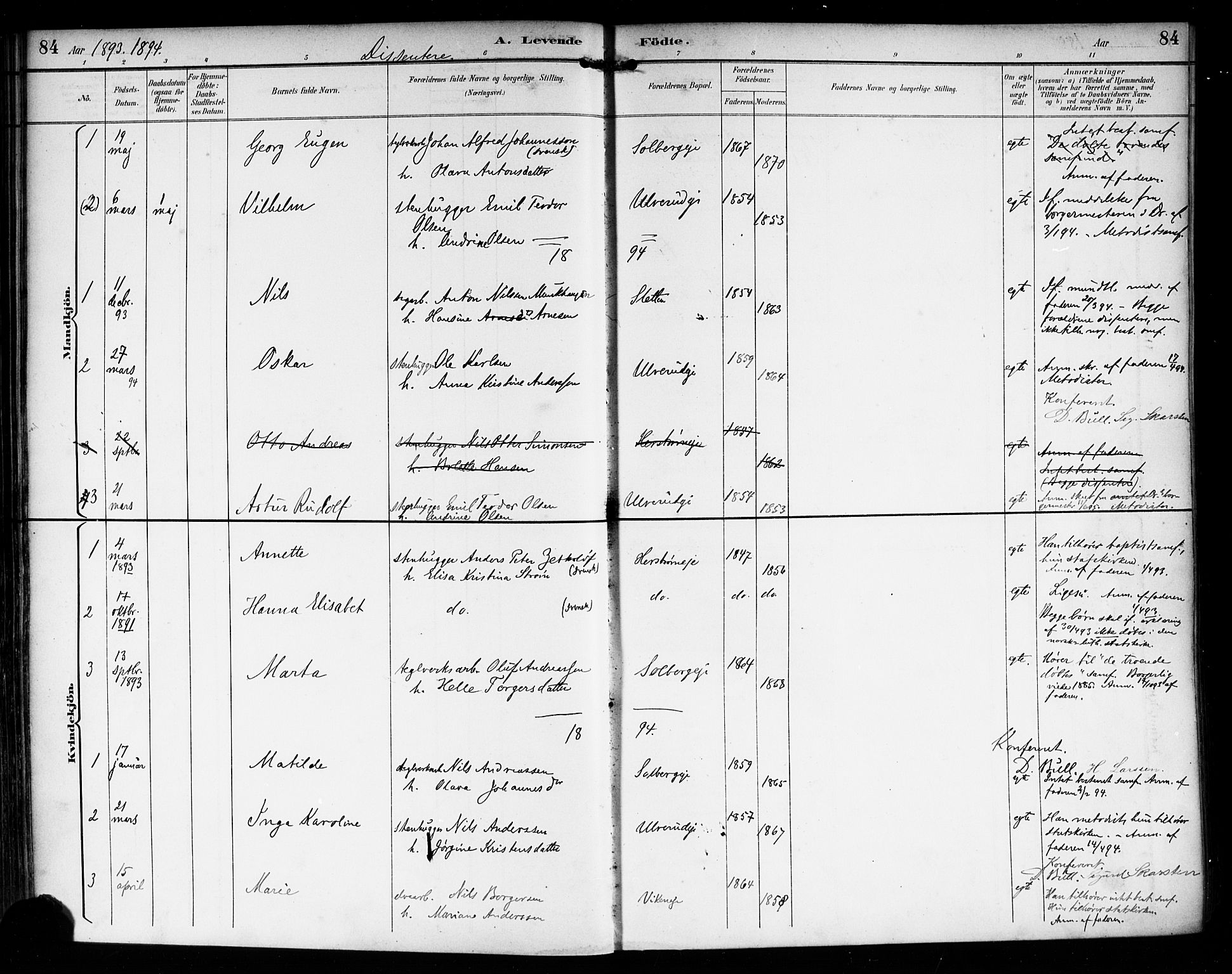 Nedre Eiker kirkebøker, AV/SAKO-A-612/F/Fa/L0004: Parish register (official) no. 4, 1893-1898, p. 84