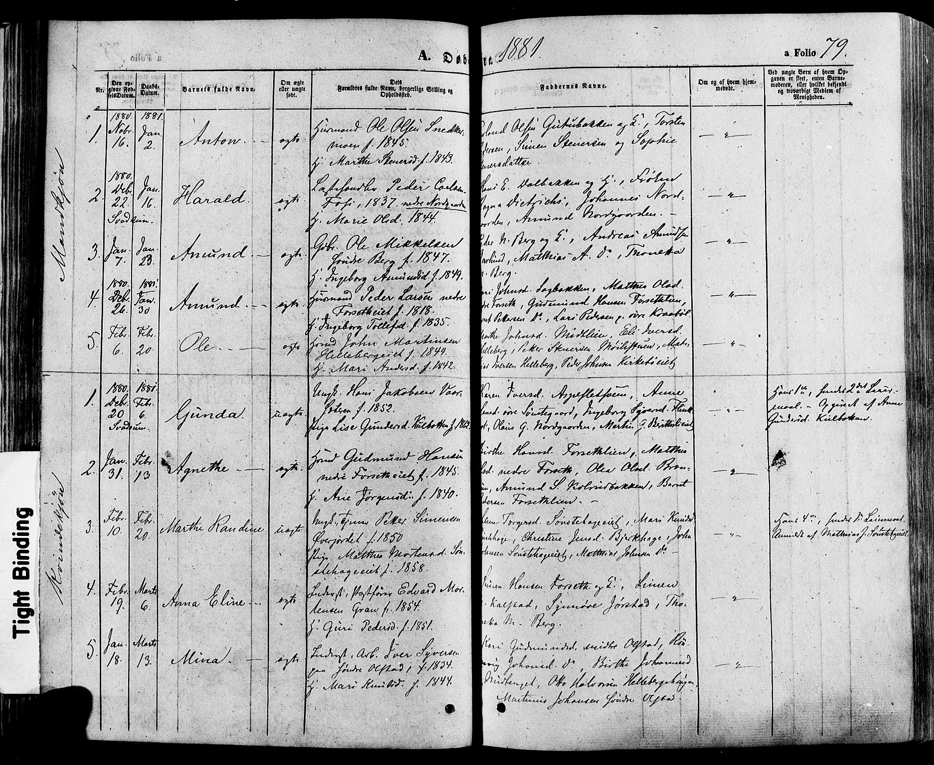 Gausdal prestekontor, SAH/PREST-090/H/Ha/Haa/L0010: Parish register (official) no. 10, 1867-1886, p. 79