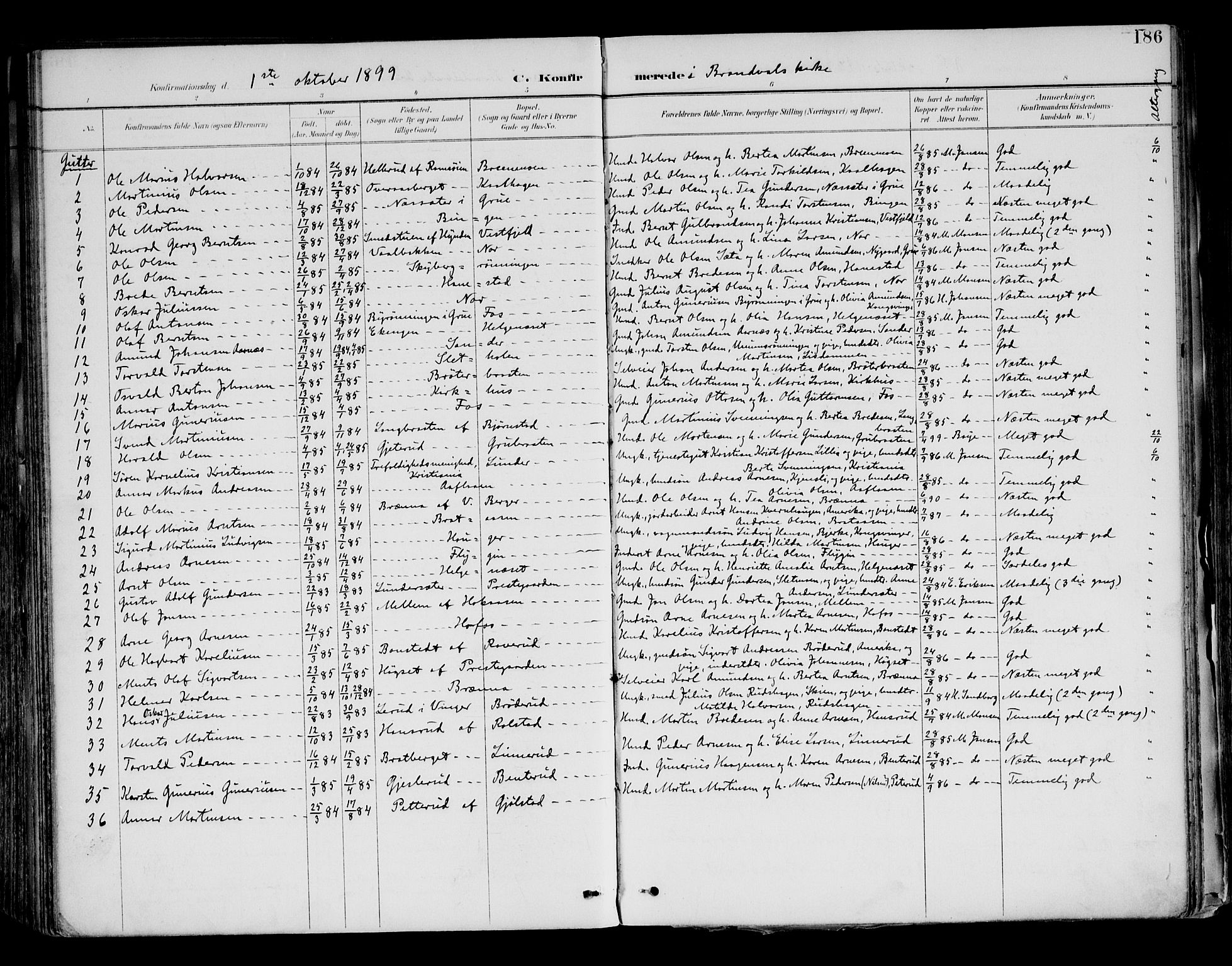 Brandval prestekontor, SAH/PREST-034/H/Ha/Haa/L0003: Parish register (official) no. 3, 1894-1909, p. 186
