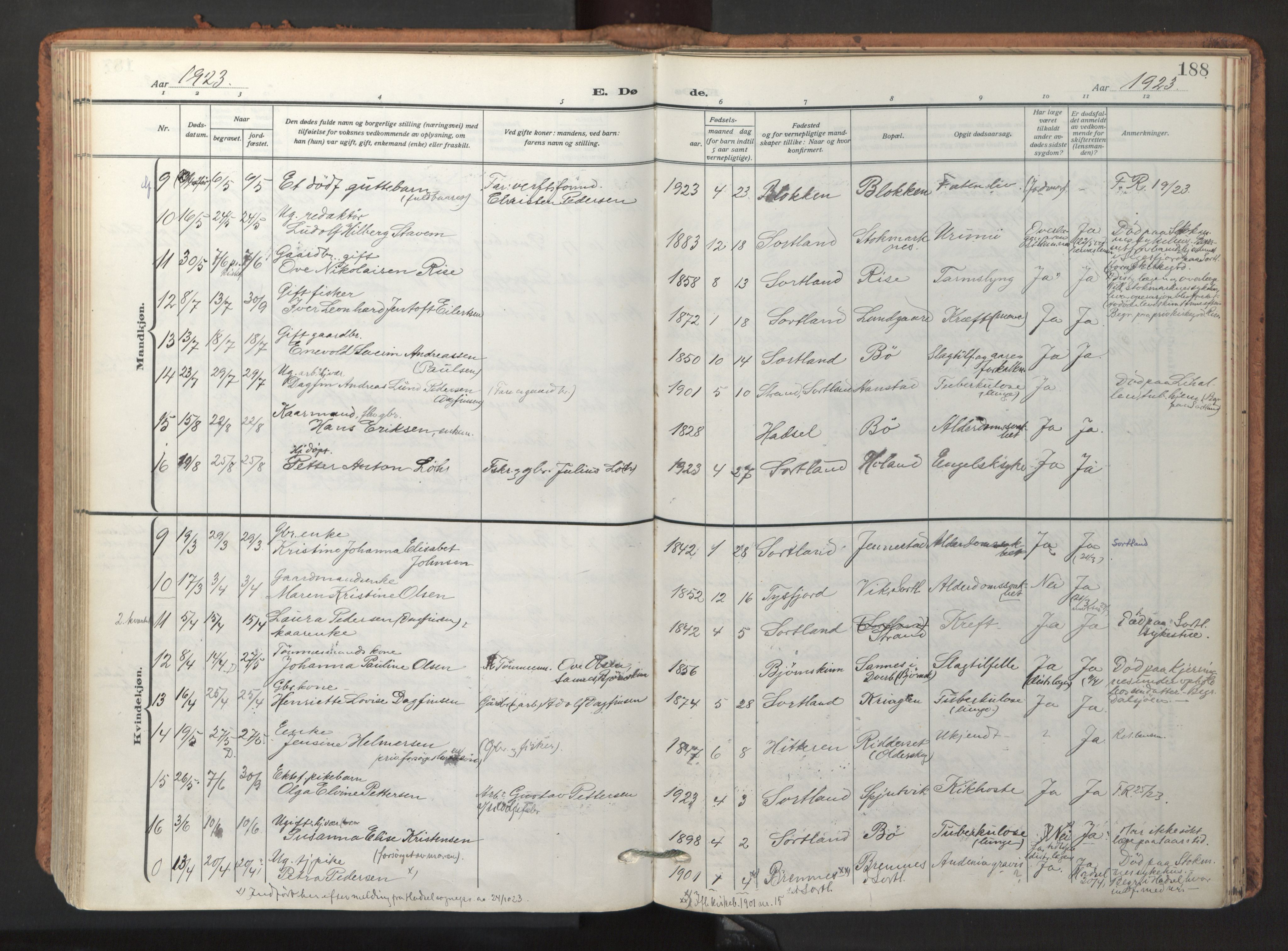 Ministerialprotokoller, klokkerbøker og fødselsregistre - Nordland, AV/SAT-A-1459/895/L1374: Parish register (official) no. 895A09, 1915-1925, p. 188