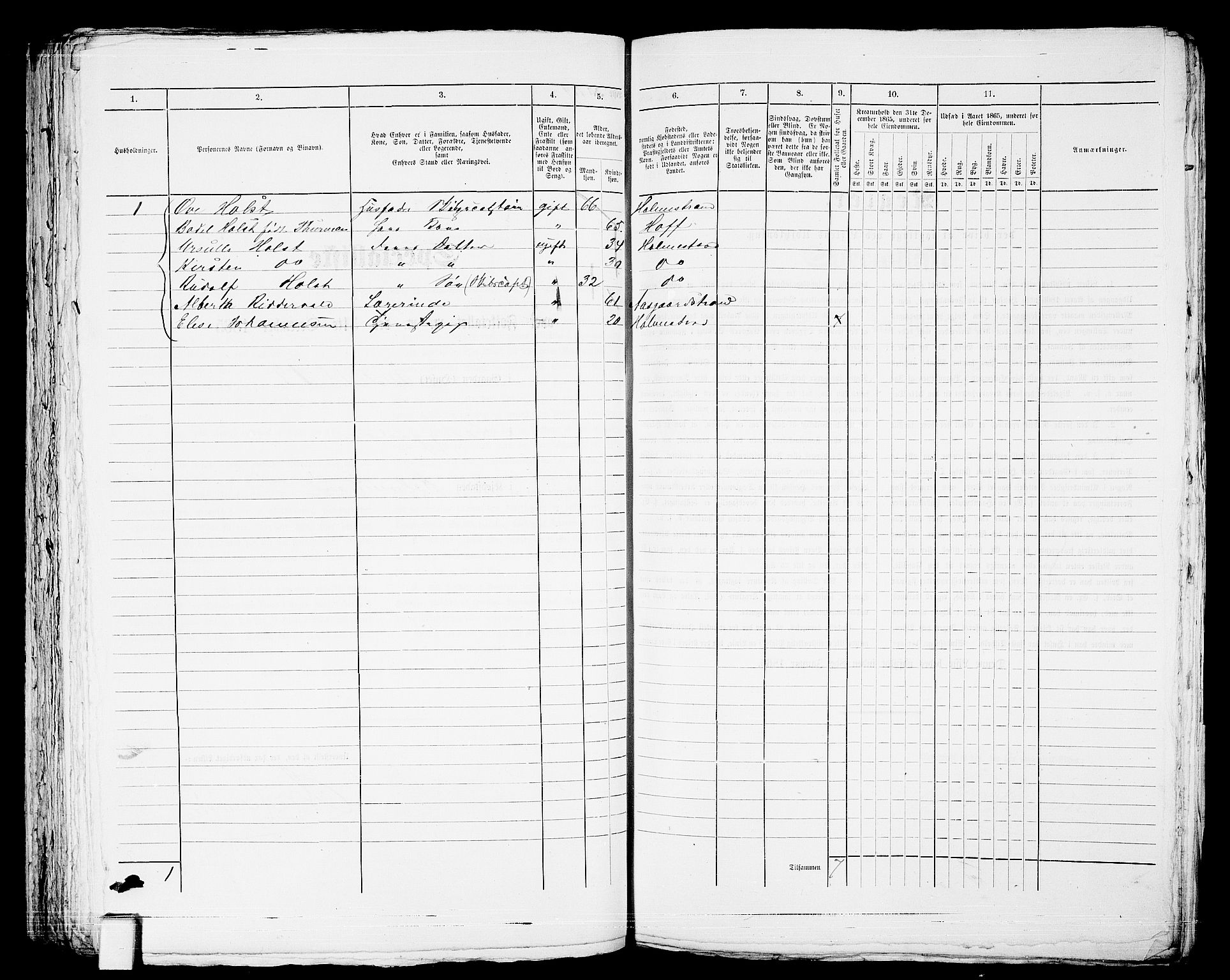 RA, 1865 census for Botne/Holmestrand, 1865, p. 246