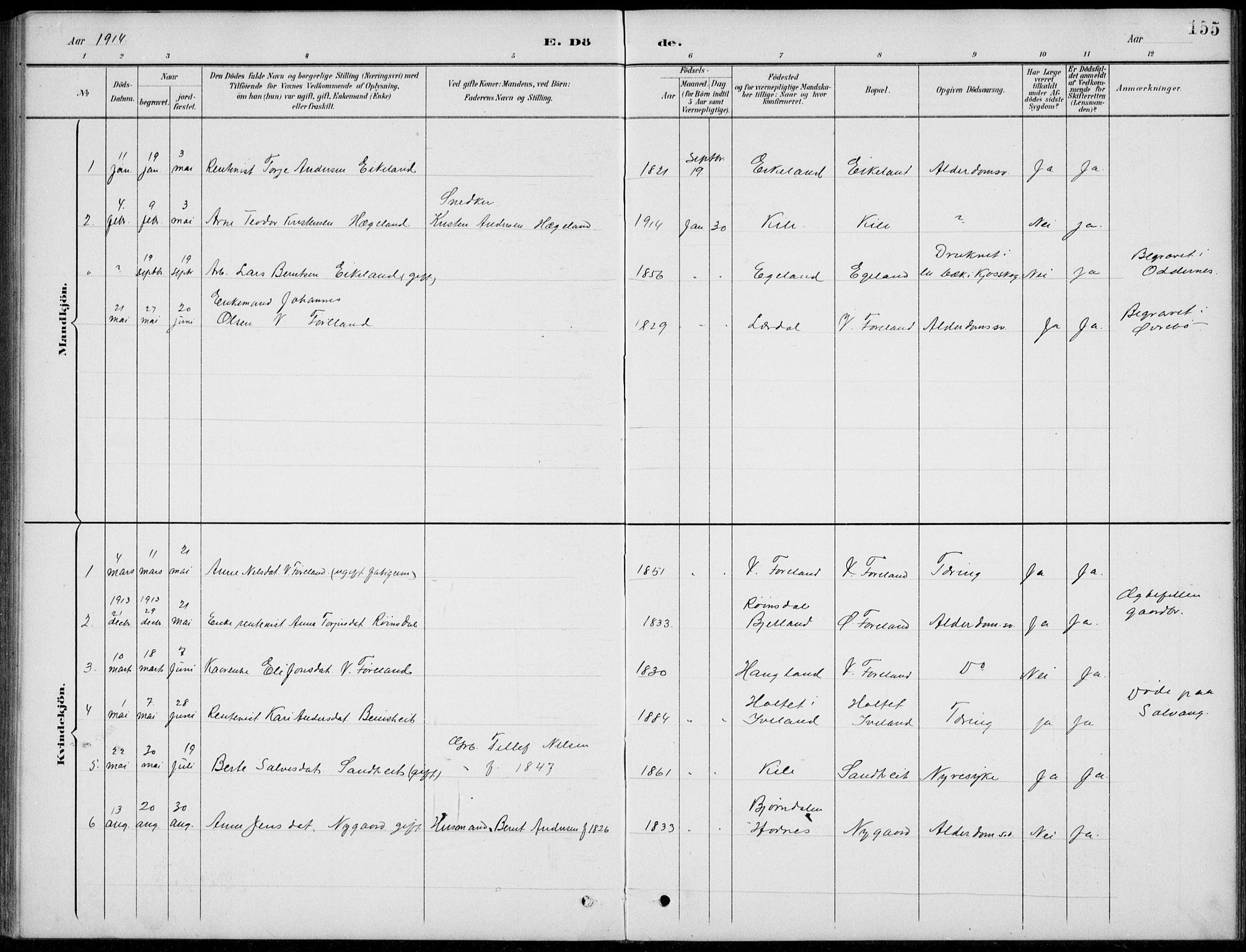 Vennesla sokneprestkontor, AV/SAK-1111-0045/Fb/Fba/L0003: Parish register (copy) no. B 3, 1890-1919, p. 155