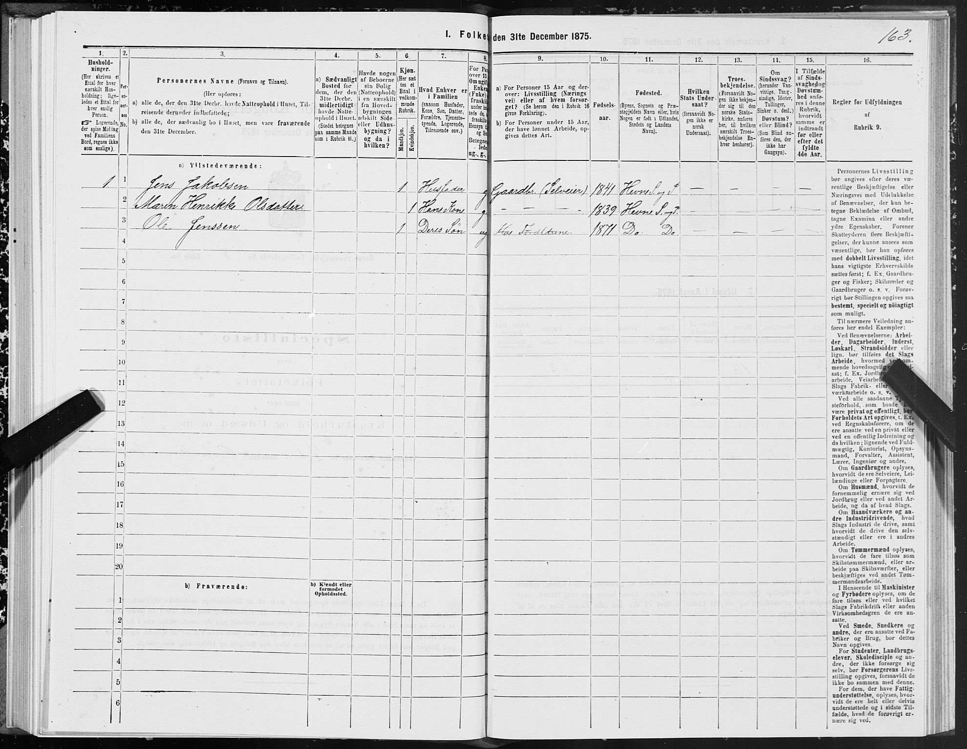 SAT, 1875 census for 1612P Hemne, 1875, p. 4163