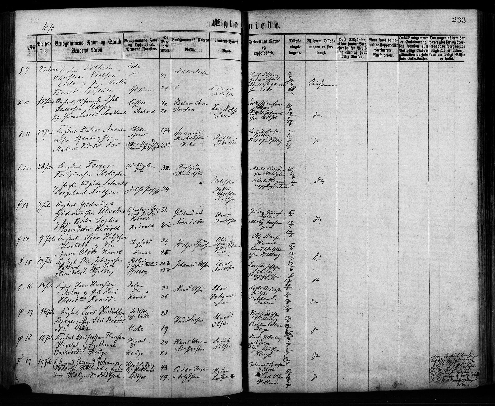 Fjelberg sokneprestembete, SAB/A-75201/H/Haa: Parish register (official) no. A 8, 1866-1879, p. 233