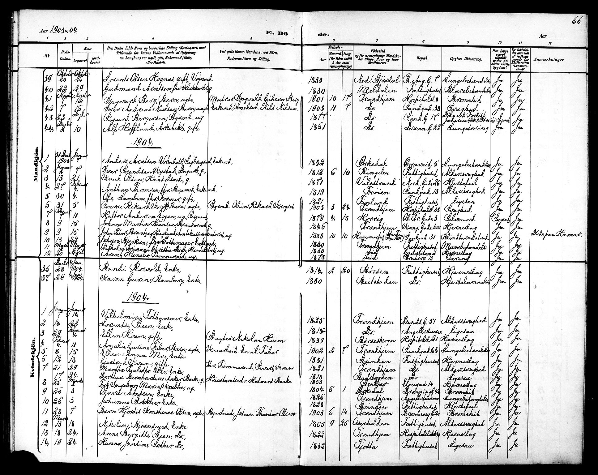 Ministerialprotokoller, klokkerbøker og fødselsregistre - Sør-Trøndelag, SAT/A-1456/602/L0144: Parish register (copy) no. 602C12, 1897-1905, p. 66