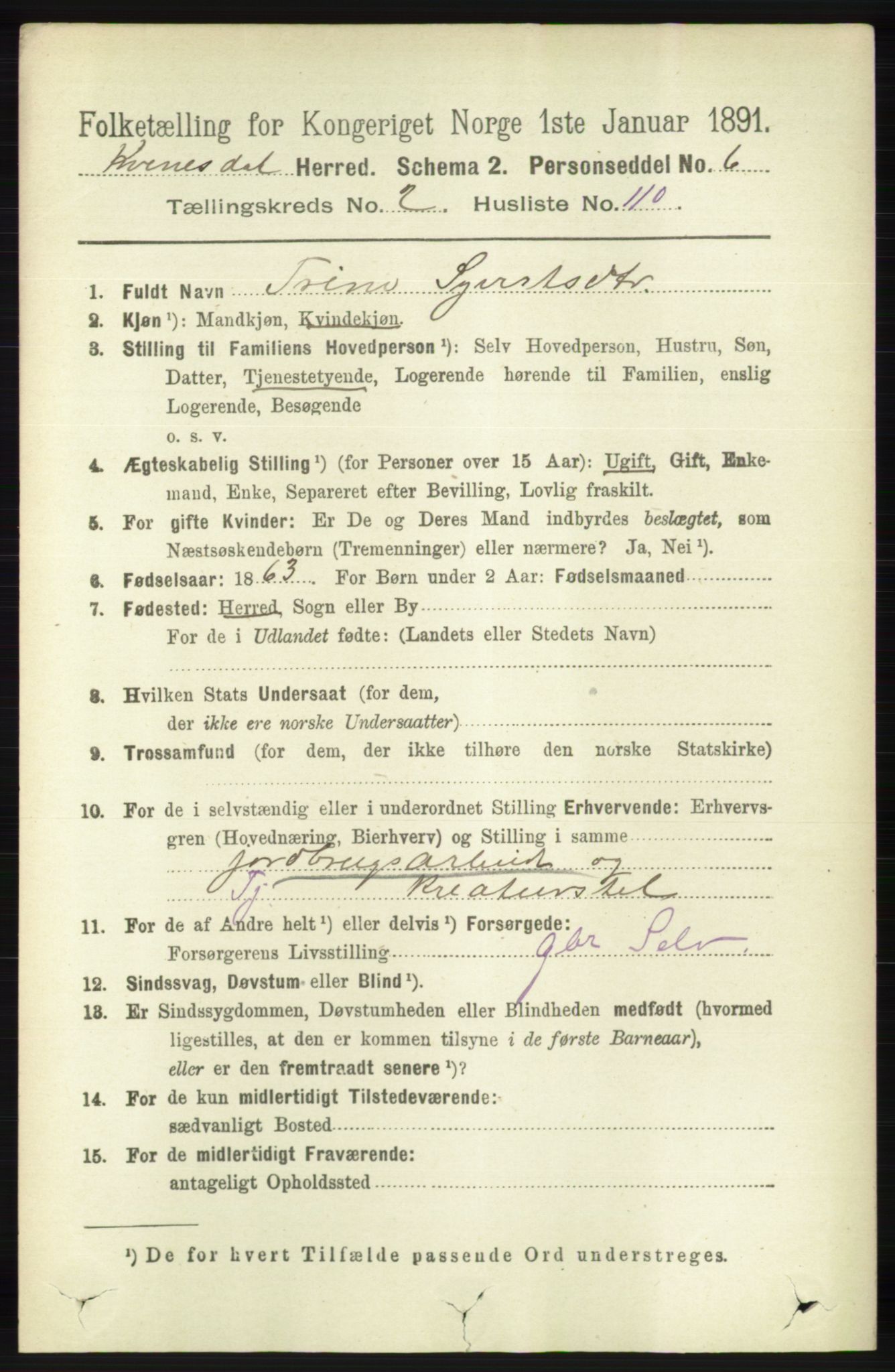 RA, 1891 census for 1037 Kvinesdal, 1891, p. 949