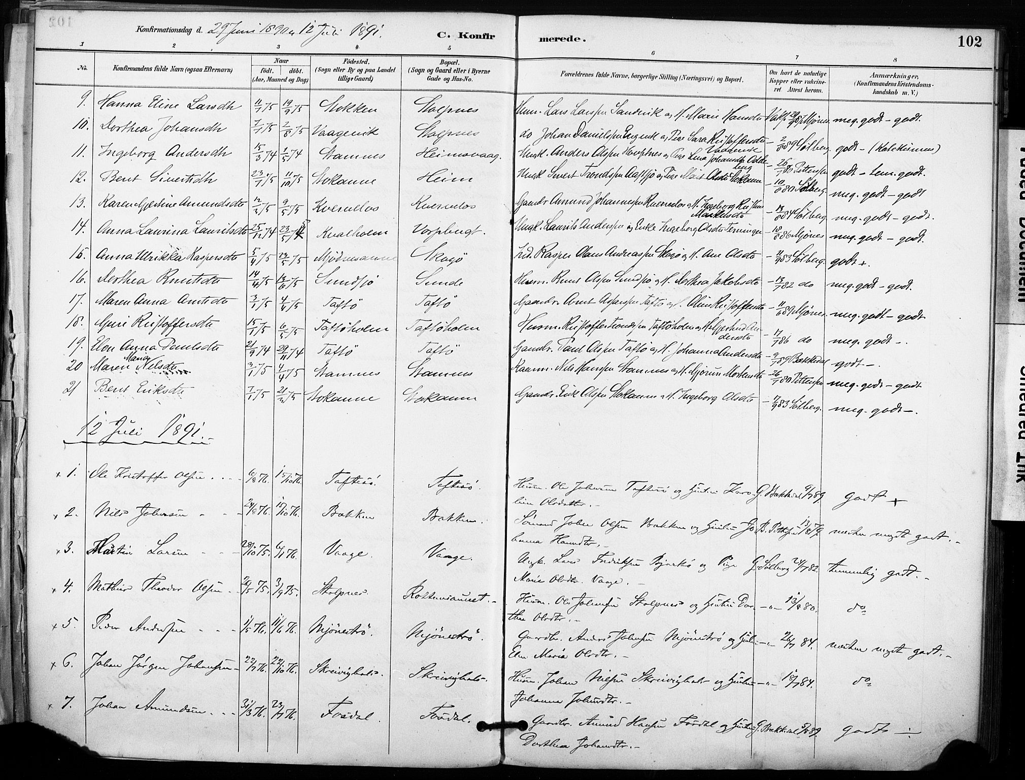 Ministerialprotokoller, klokkerbøker og fødselsregistre - Sør-Trøndelag, AV/SAT-A-1456/633/L0518: Parish register (official) no. 633A01, 1884-1906, p. 102