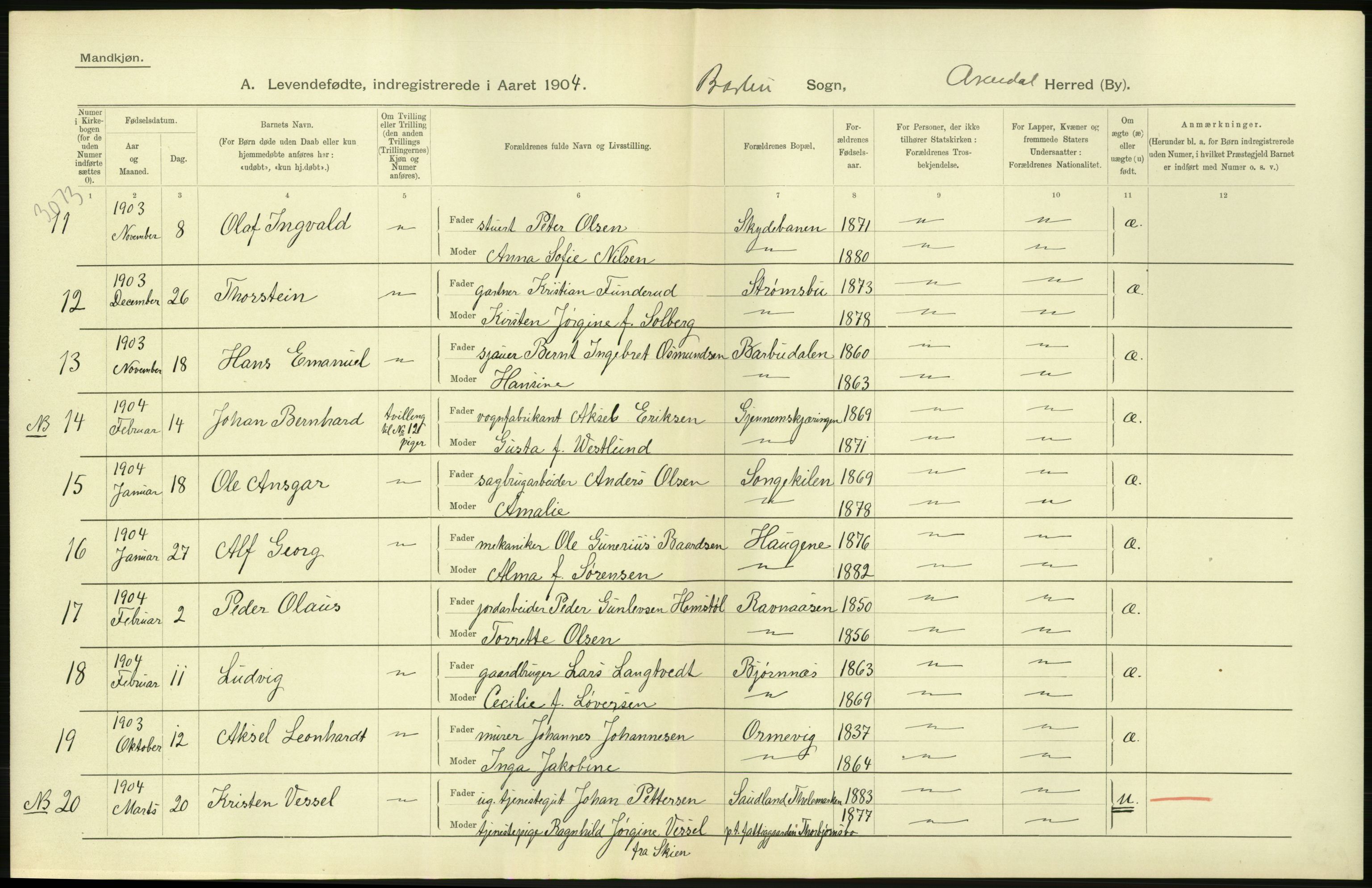 Statistisk sentralbyrå, Sosiodemografiske emner, Befolkning, AV/RA-S-2228/D/Df/Dfa/Dfab/L0010: Nedenes amt: Fødte, gifte, døde, 1904, p. 260