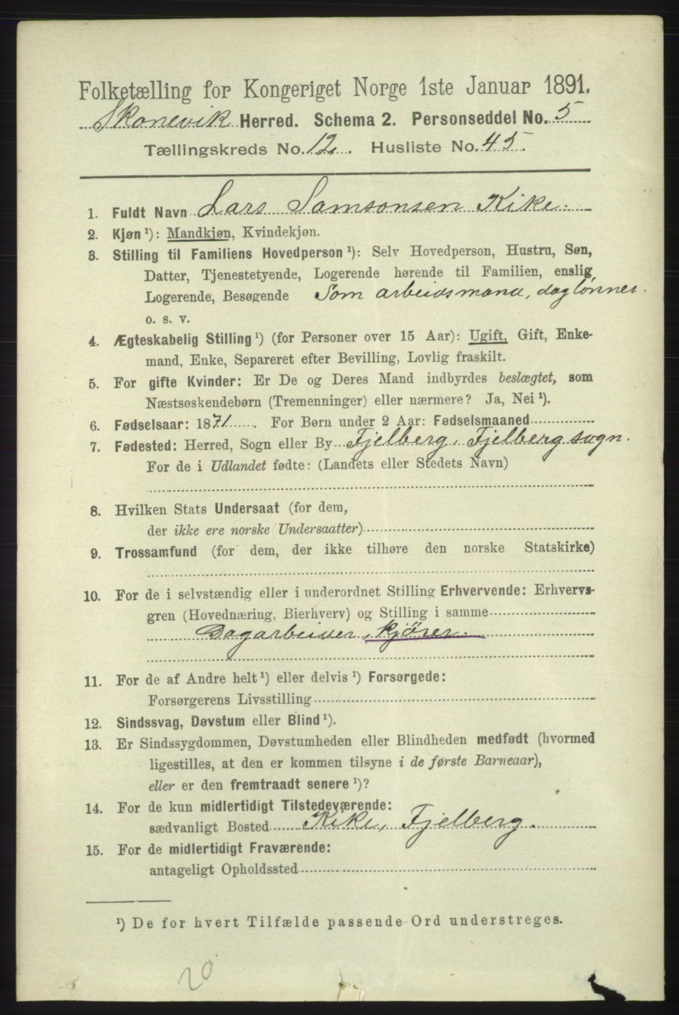 RA, 1891 census for 1212 Skånevik, 1891, p. 3998