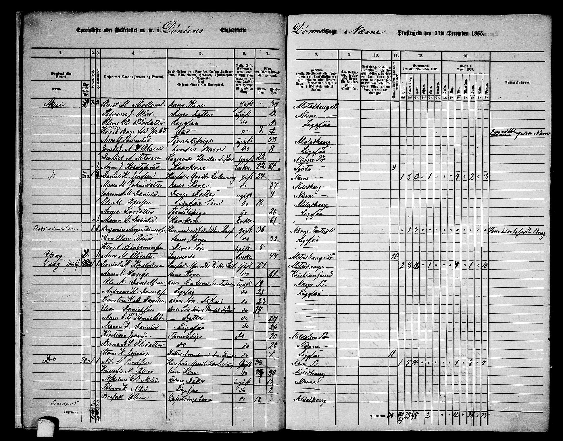 RA, 1865 census for Nesna, 1865, p. 15