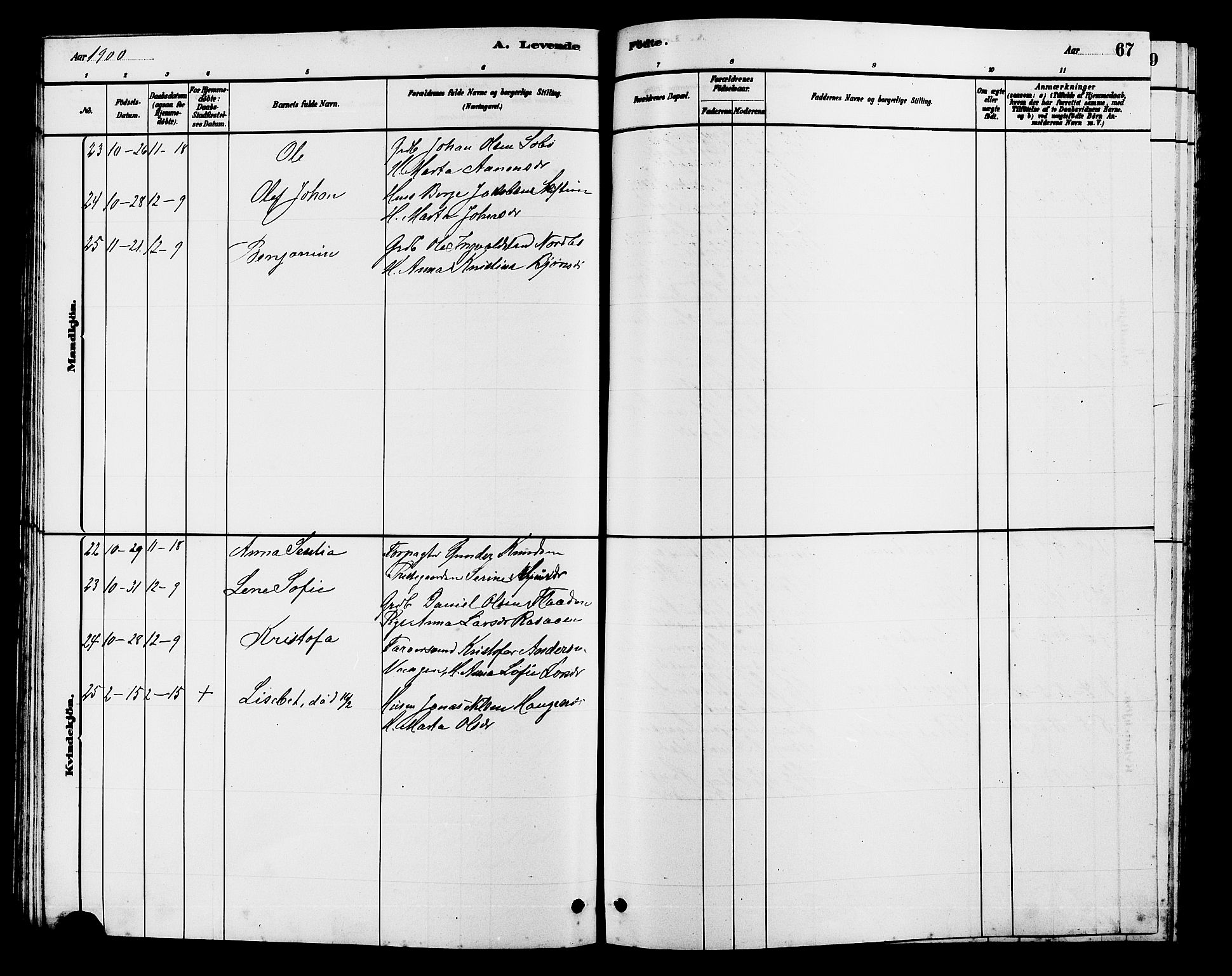 Hjelmeland sokneprestkontor, SAST/A-101843/01/V/L0007: Parish register (copy) no. B 7, 1880-1909, p. 67