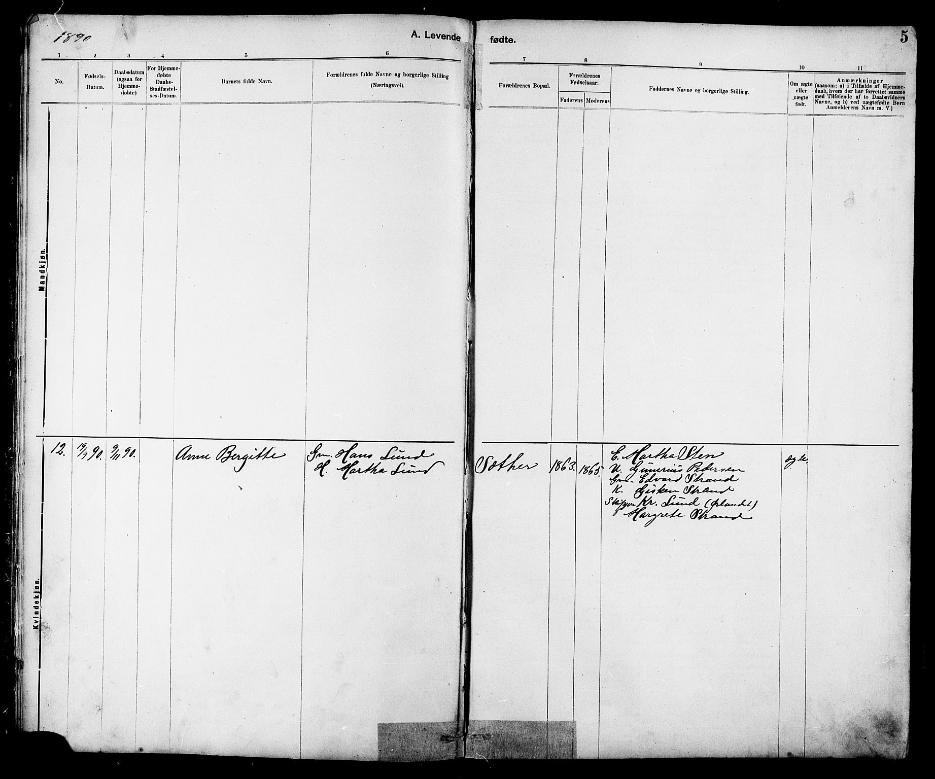 Ministerialprotokoller, klokkerbøker og fødselsregistre - Sør-Trøndelag, AV/SAT-A-1456/639/L0573: Parish register (copy) no. 639C01, 1890-1905, p. 5