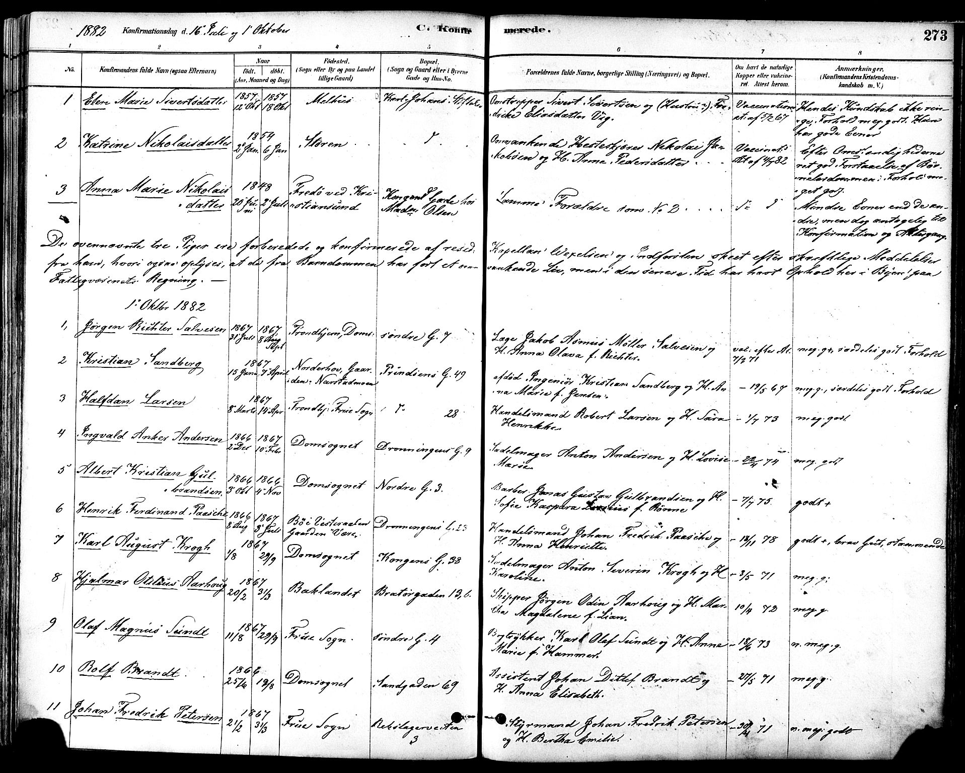 Ministerialprotokoller, klokkerbøker og fødselsregistre - Sør-Trøndelag, AV/SAT-A-1456/601/L0057: Parish register (official) no. 601A25, 1877-1891, p. 273