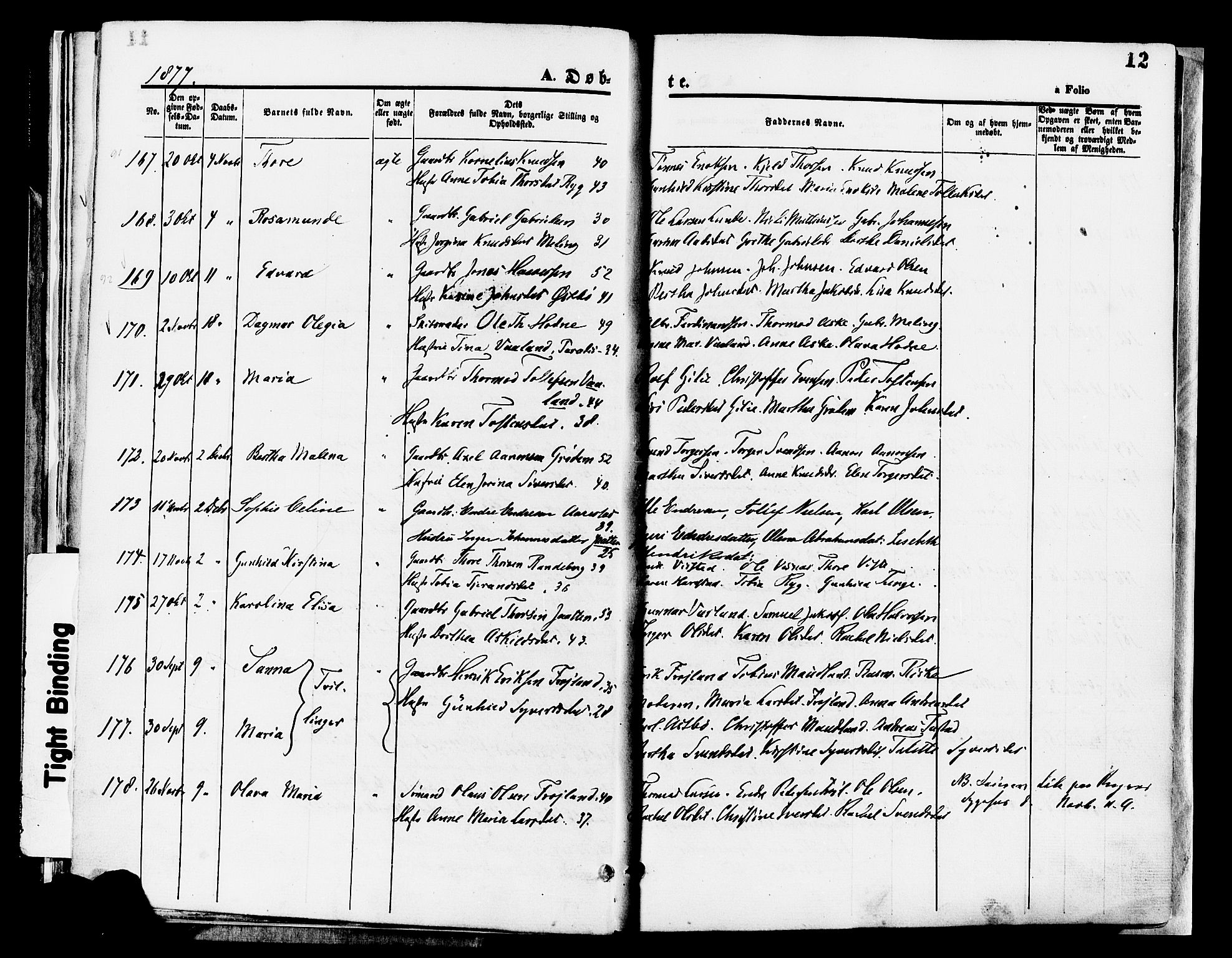 Hetland sokneprestkontor, AV/SAST-A-101826/30/30BA/L0008: Parish register (official) no. A 8, 1877-1884, p. 12