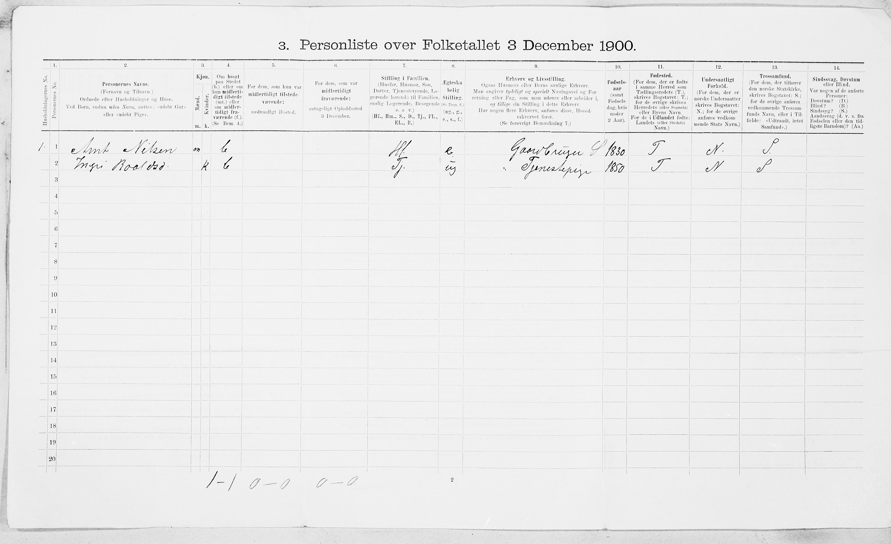 SAT, 1900 census for Støren, 1900, p. 19