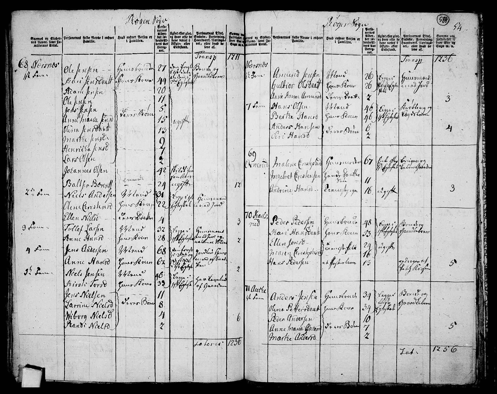 RA, 1801 census for 0627P Røyken, 1801, p. 583b-584a