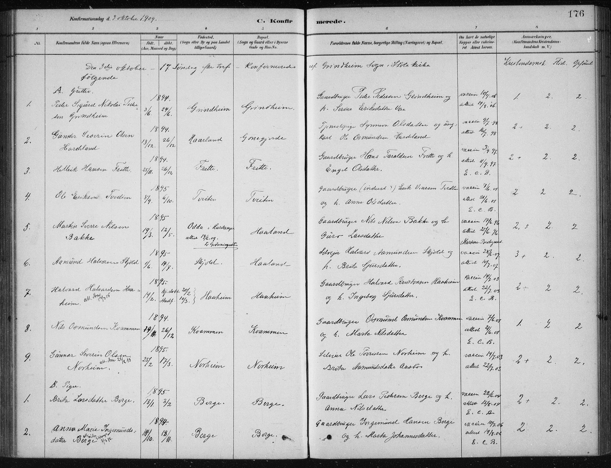 Etne sokneprestembete, SAB/A-75001/H/Haa: Parish register (official) no. D  1, 1879-1919, p. 176
