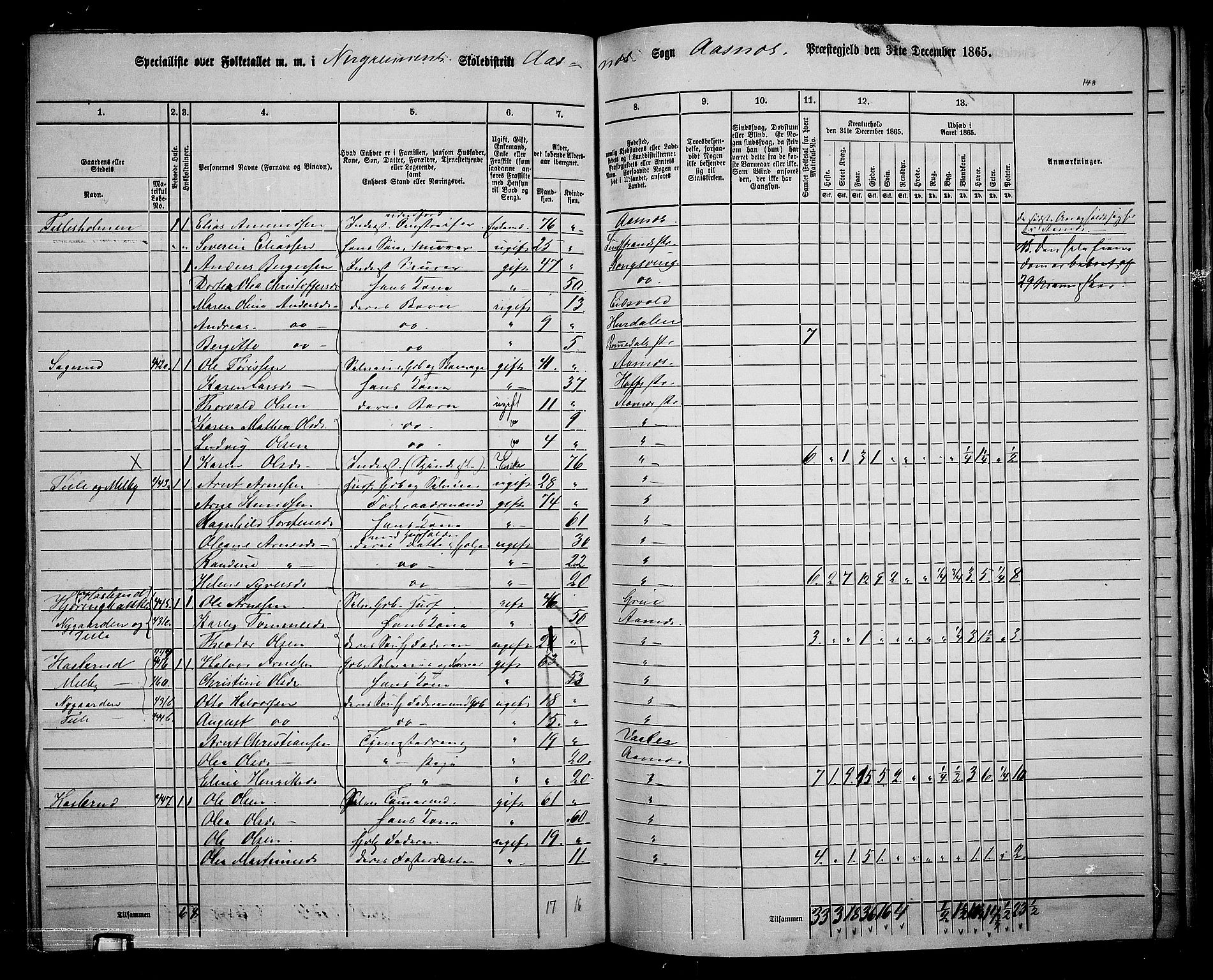 RA, 1865 census for Åsnes, 1865, p. 137